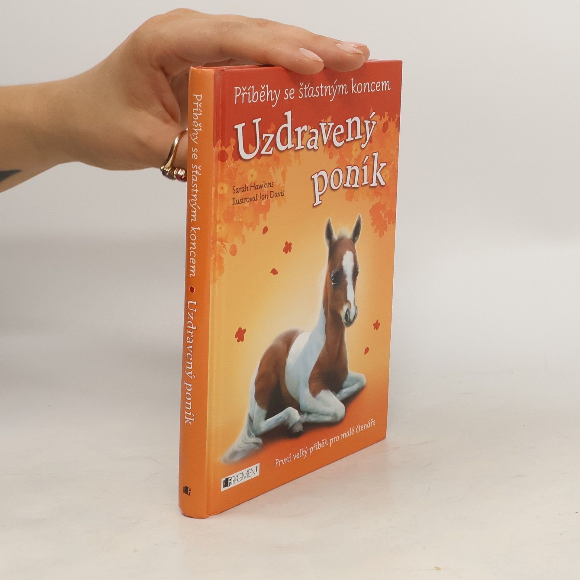 Eva Brožová Uzdravený poník