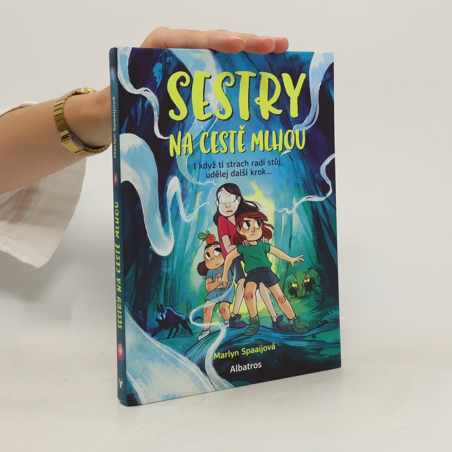 Marlyn Spaaij Sestry na cestě mlhou