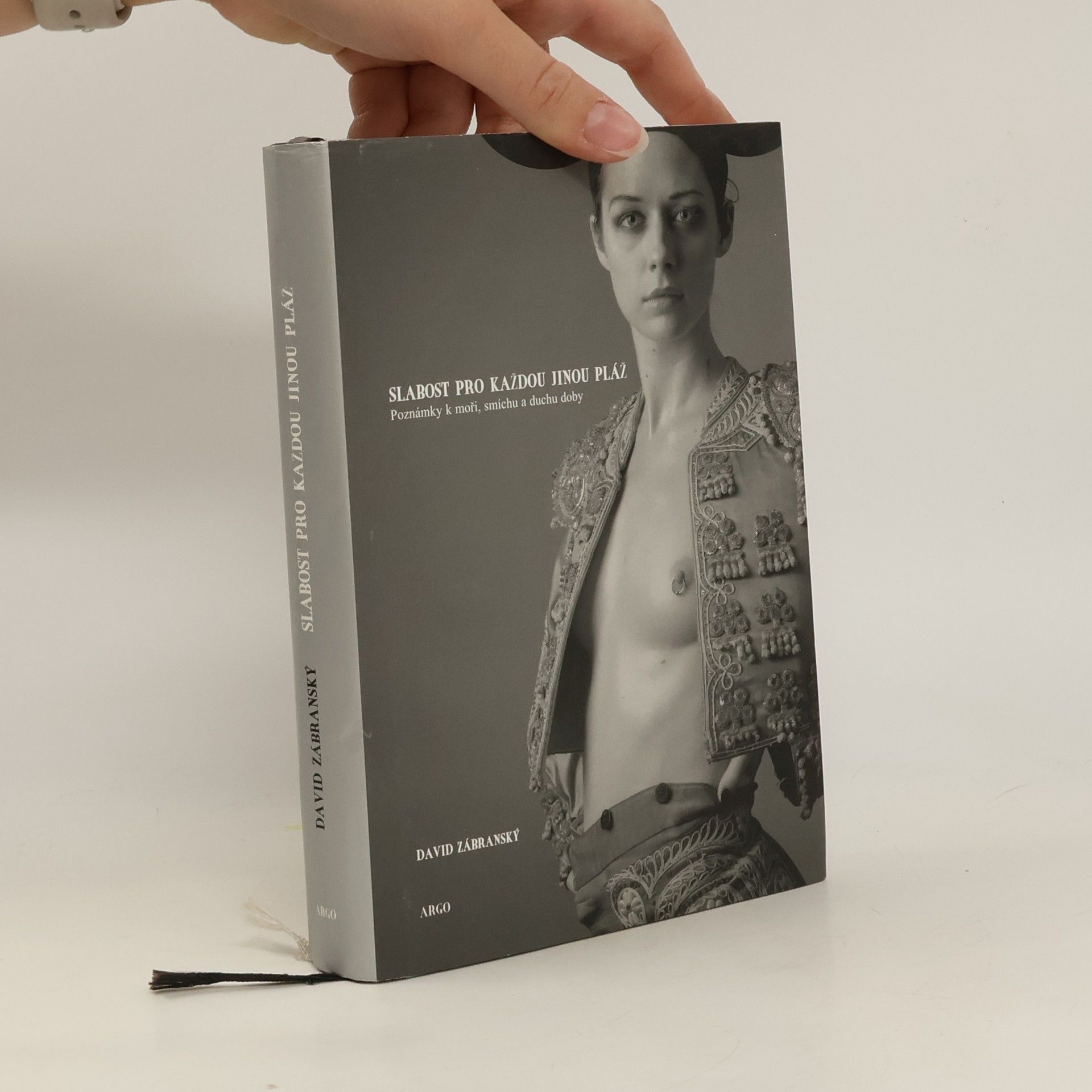 David Zábranský Slabost pro každou jinou pláž