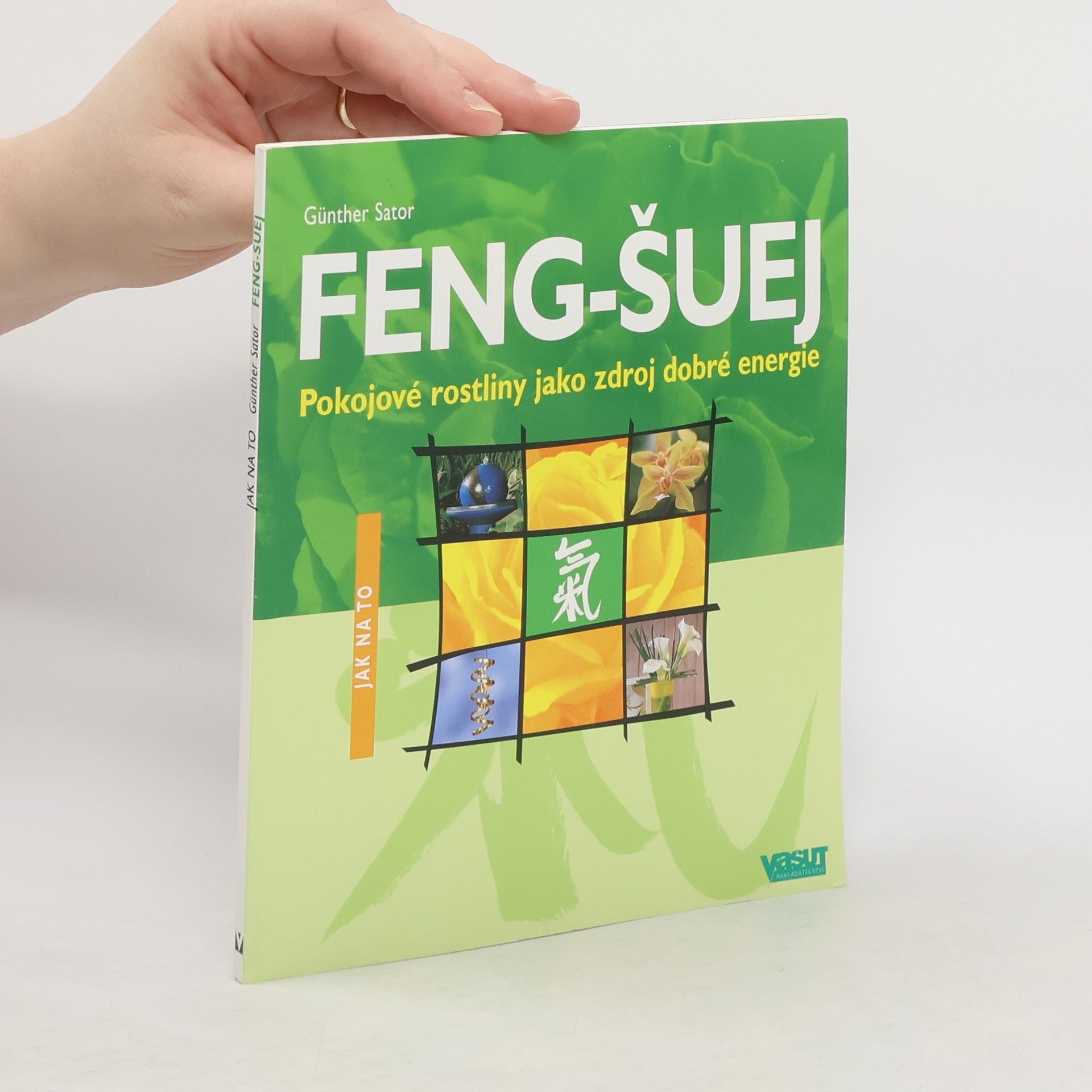 Feng-šuej : pokojové rostliny jako zdroj dobré energie