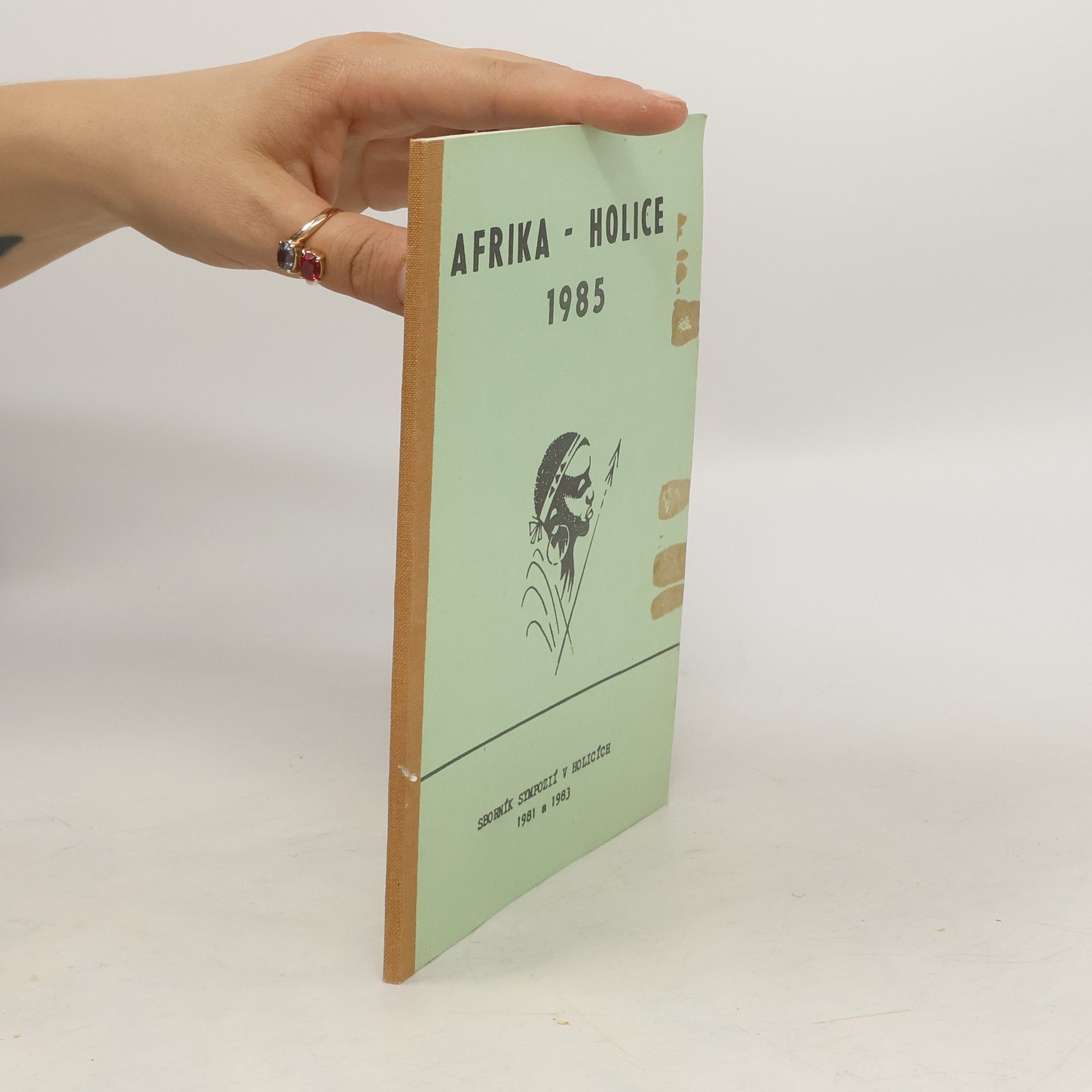 Kolektiv autorů Afrika - Holice 1985