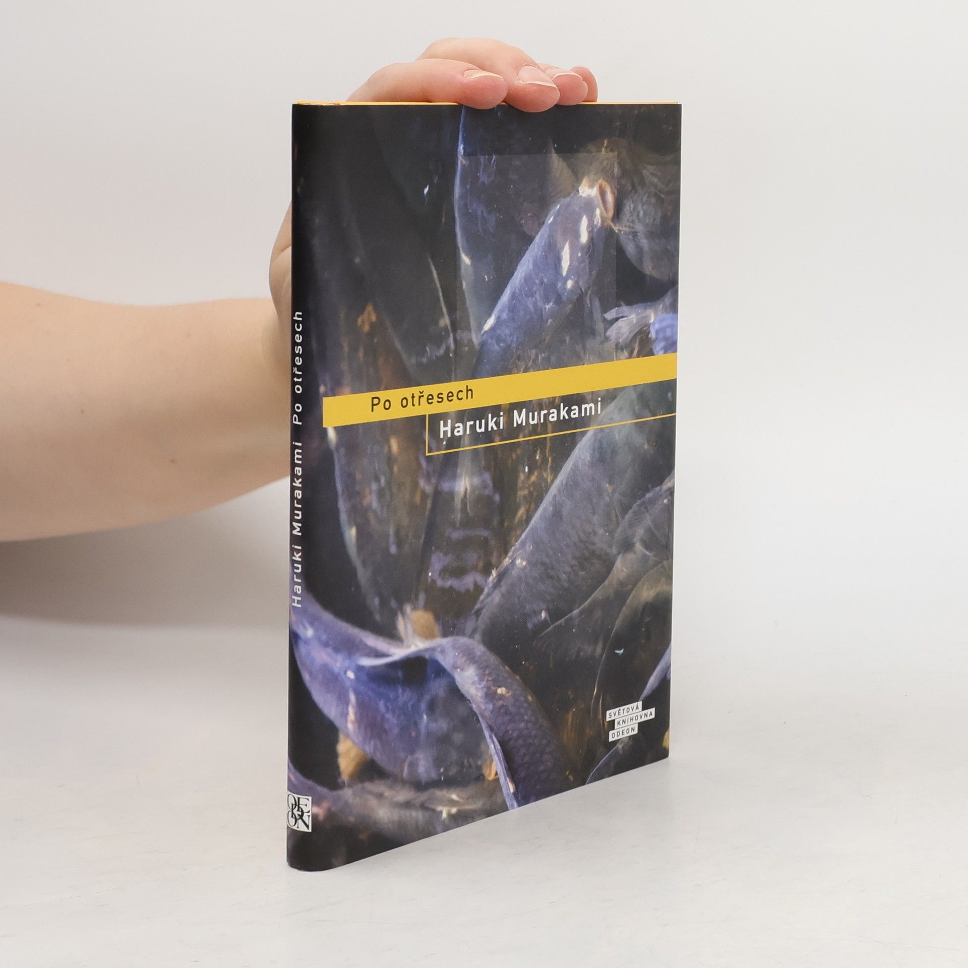 Haruki Murakami Po otřesech