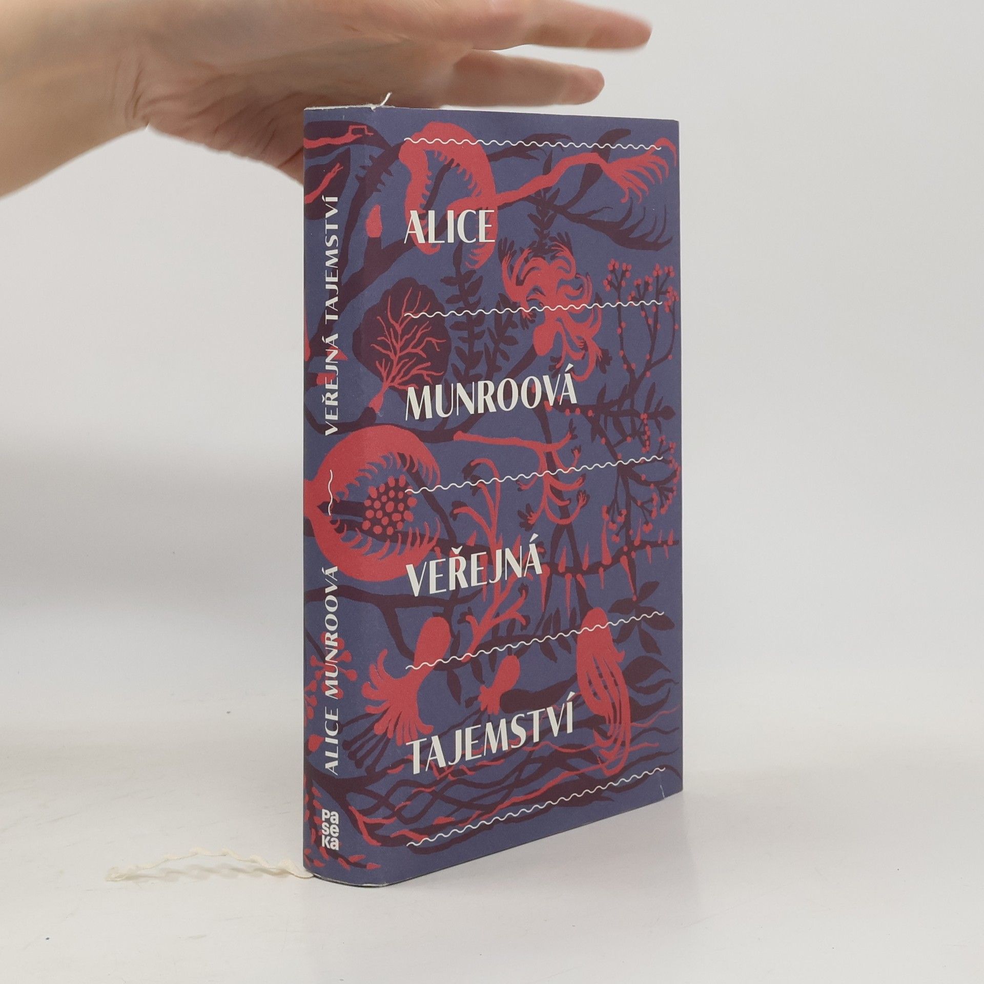 Alice Munro Veřejná tajemství