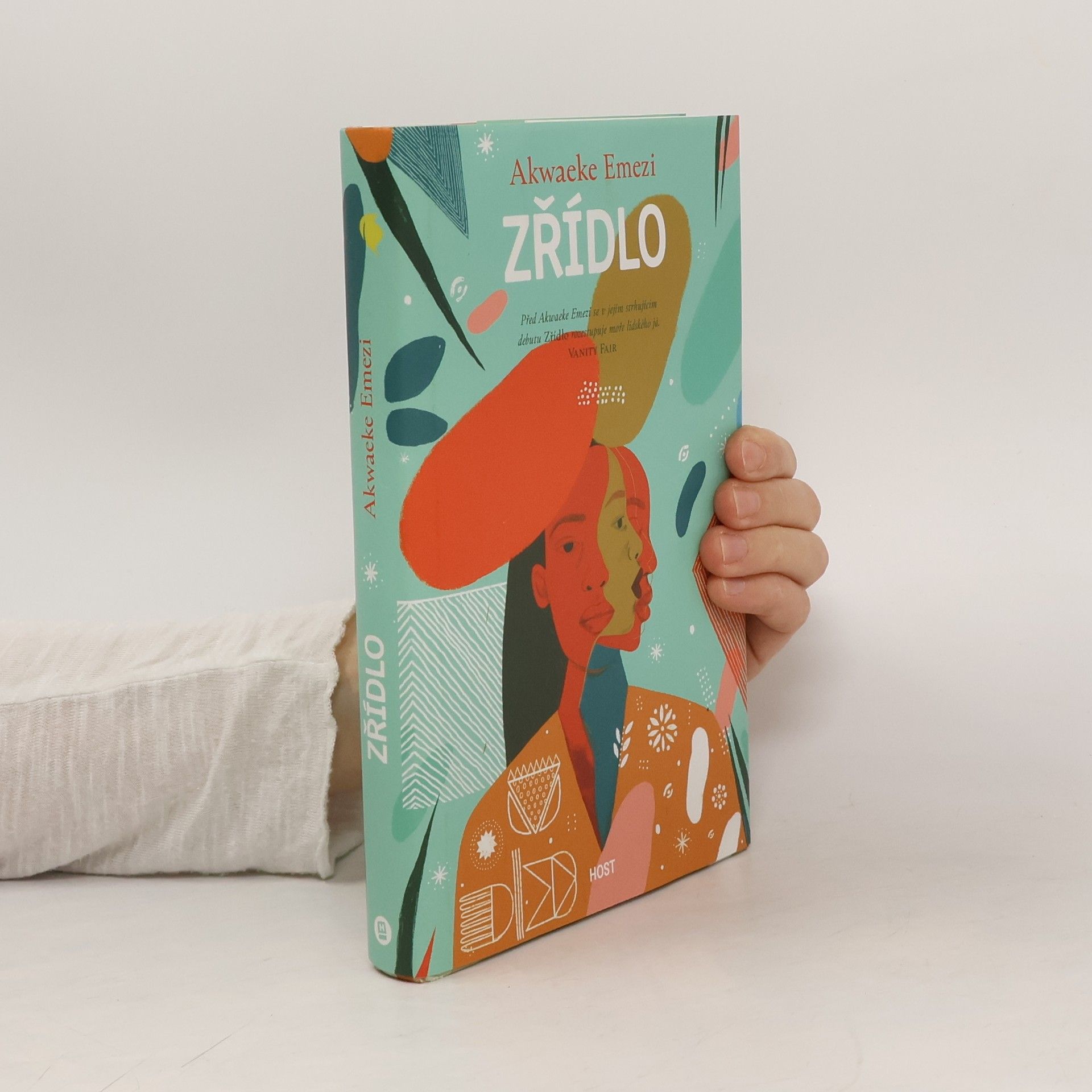 Akwaeke Emezi Zřídlo