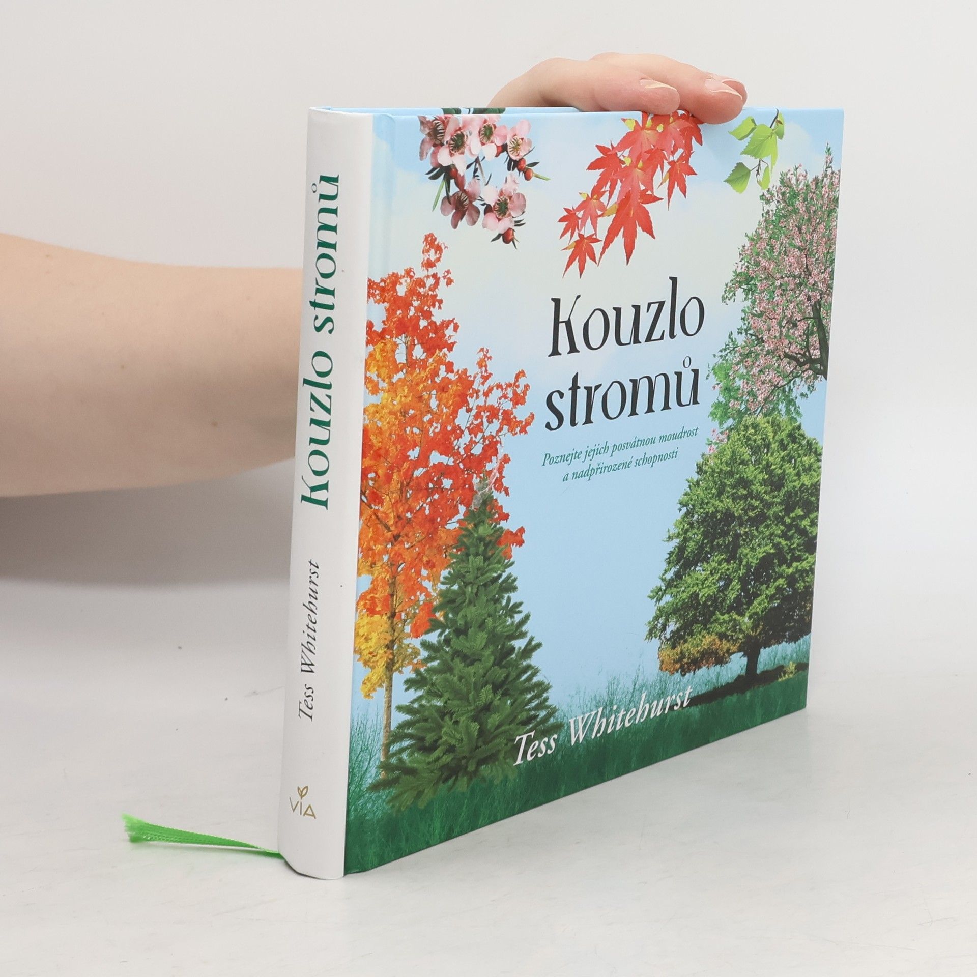 Kouzlo stromů : poznejte jejich posvátnou moudrost a nadpřirozené schopnosti