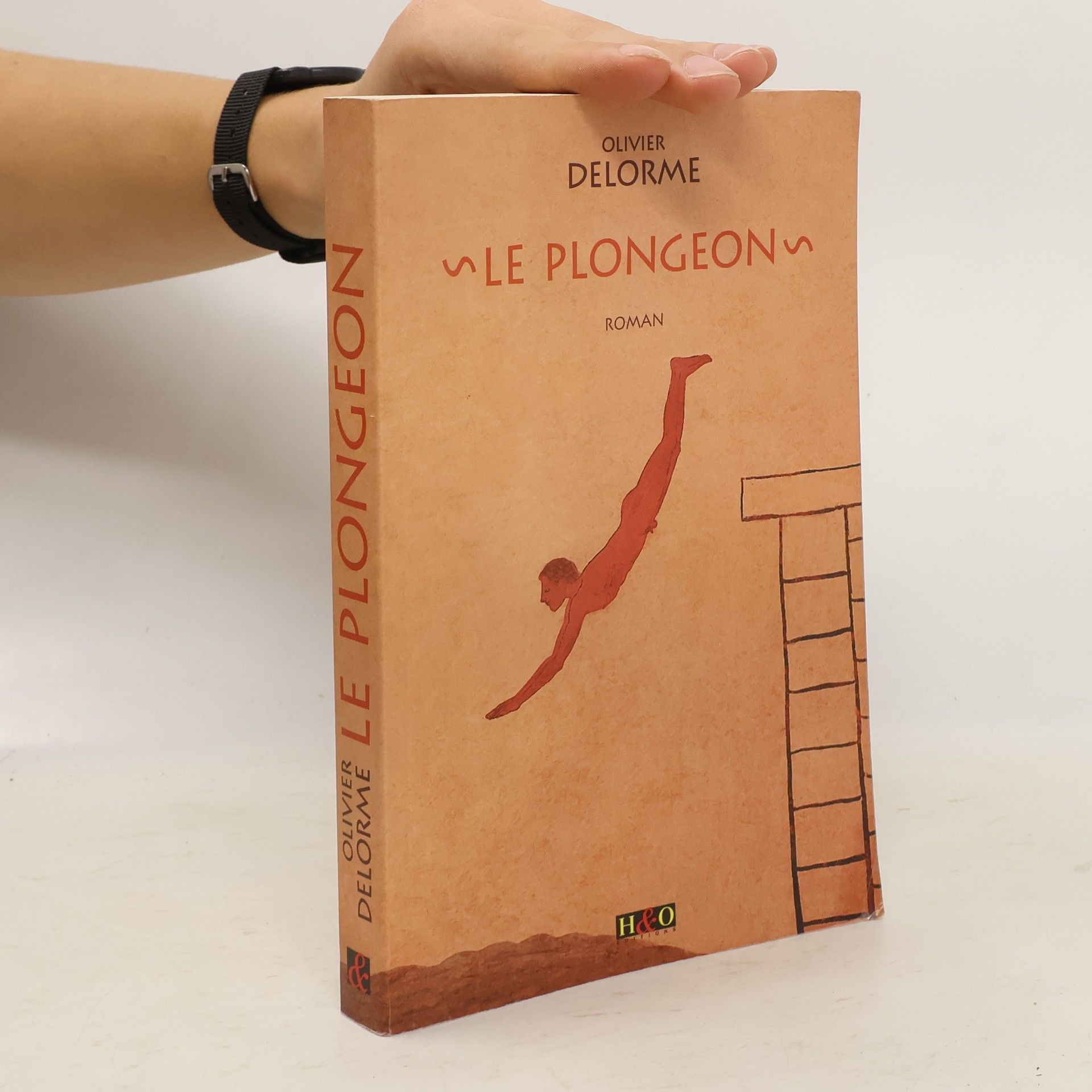 Olivier Delorme Le Plongeon