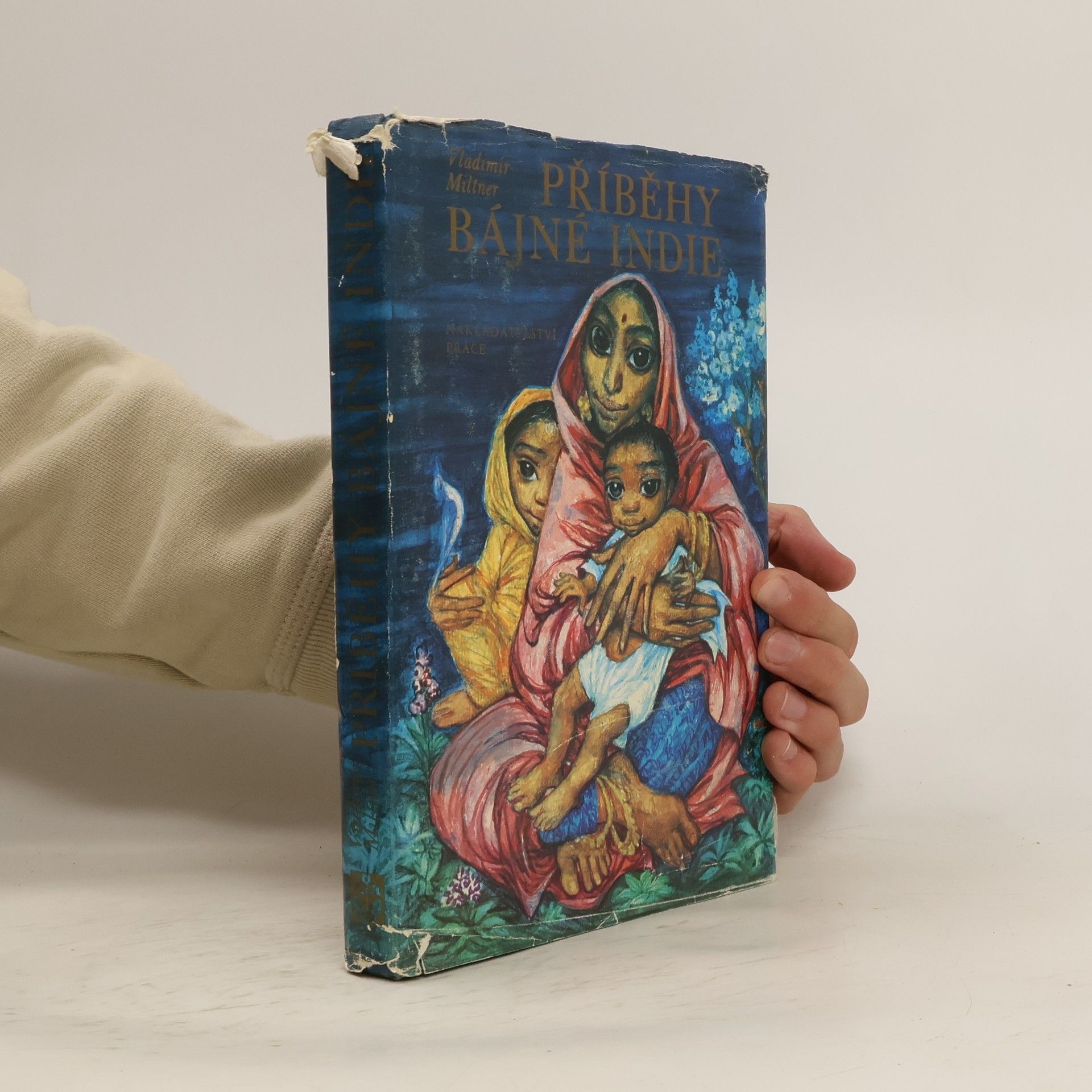 Příběhy bájné Indie