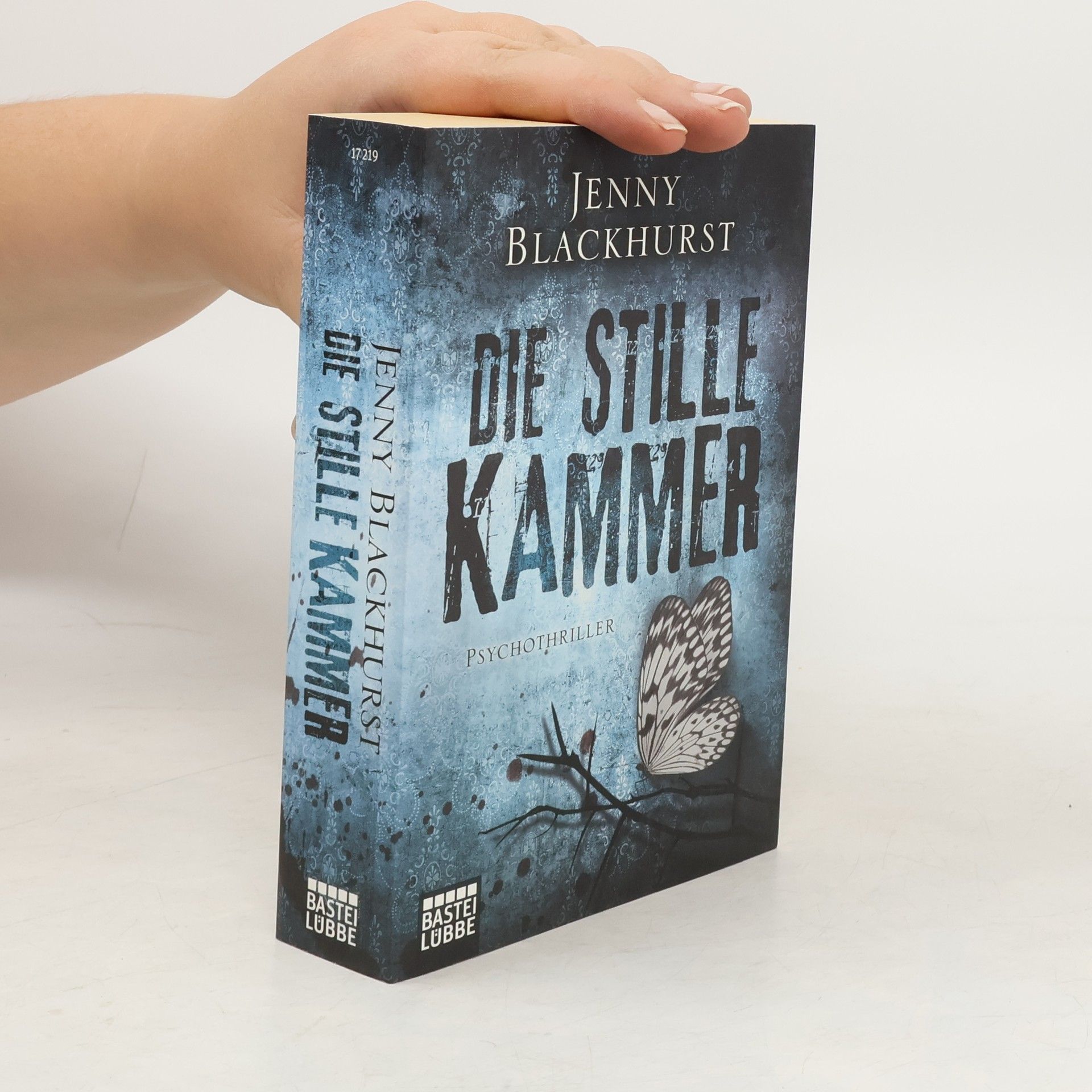 Emily Rudolf Die Auszeit