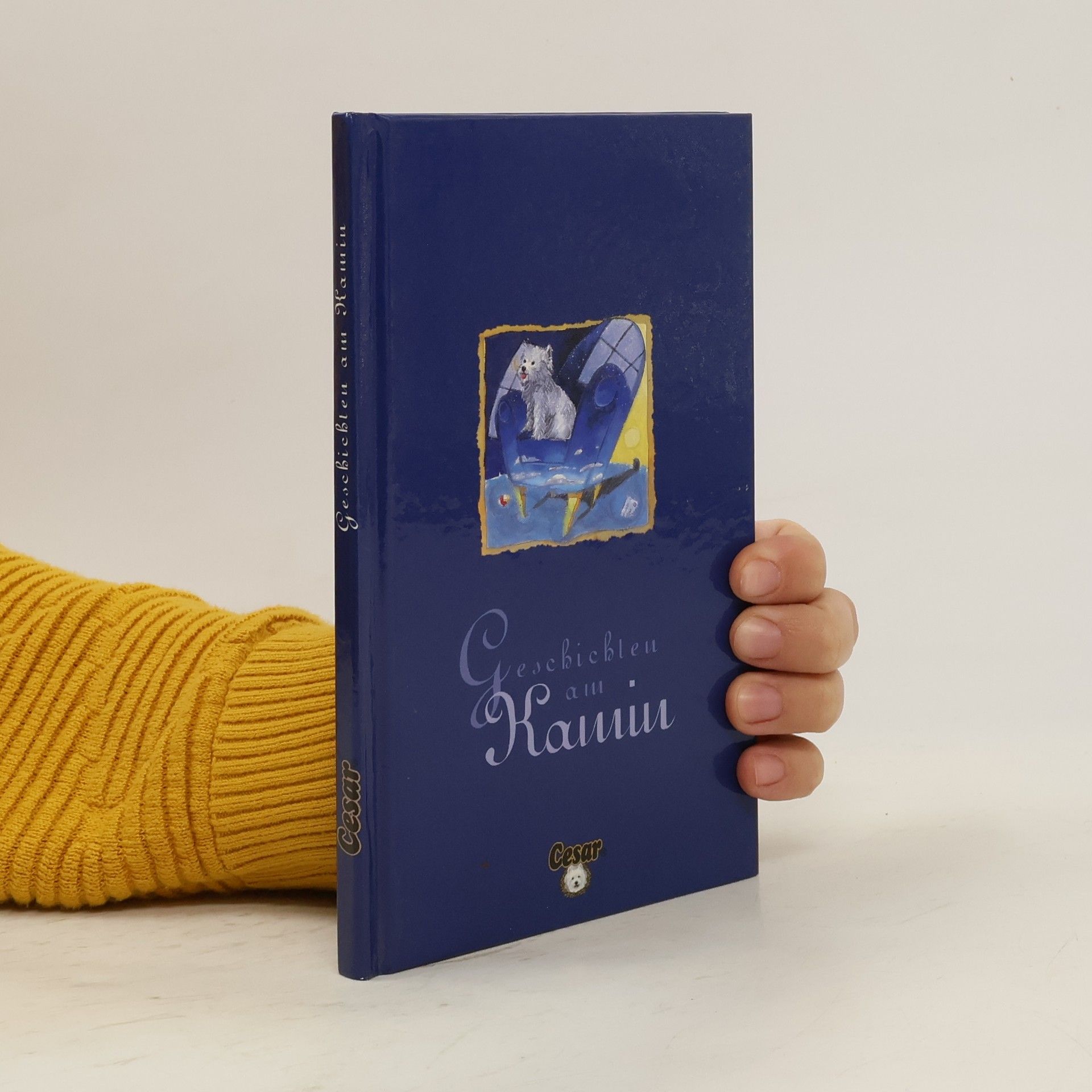 Autorenkollektiv Geschichten am Kamin