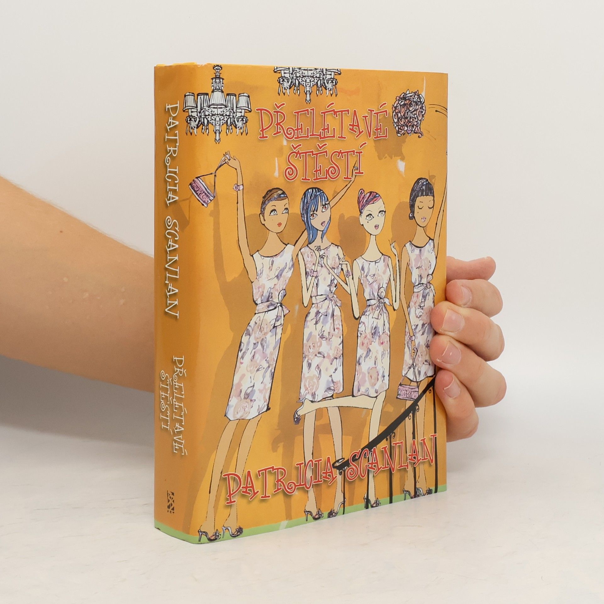 Patricia Scanlan Přelétavé štěstí