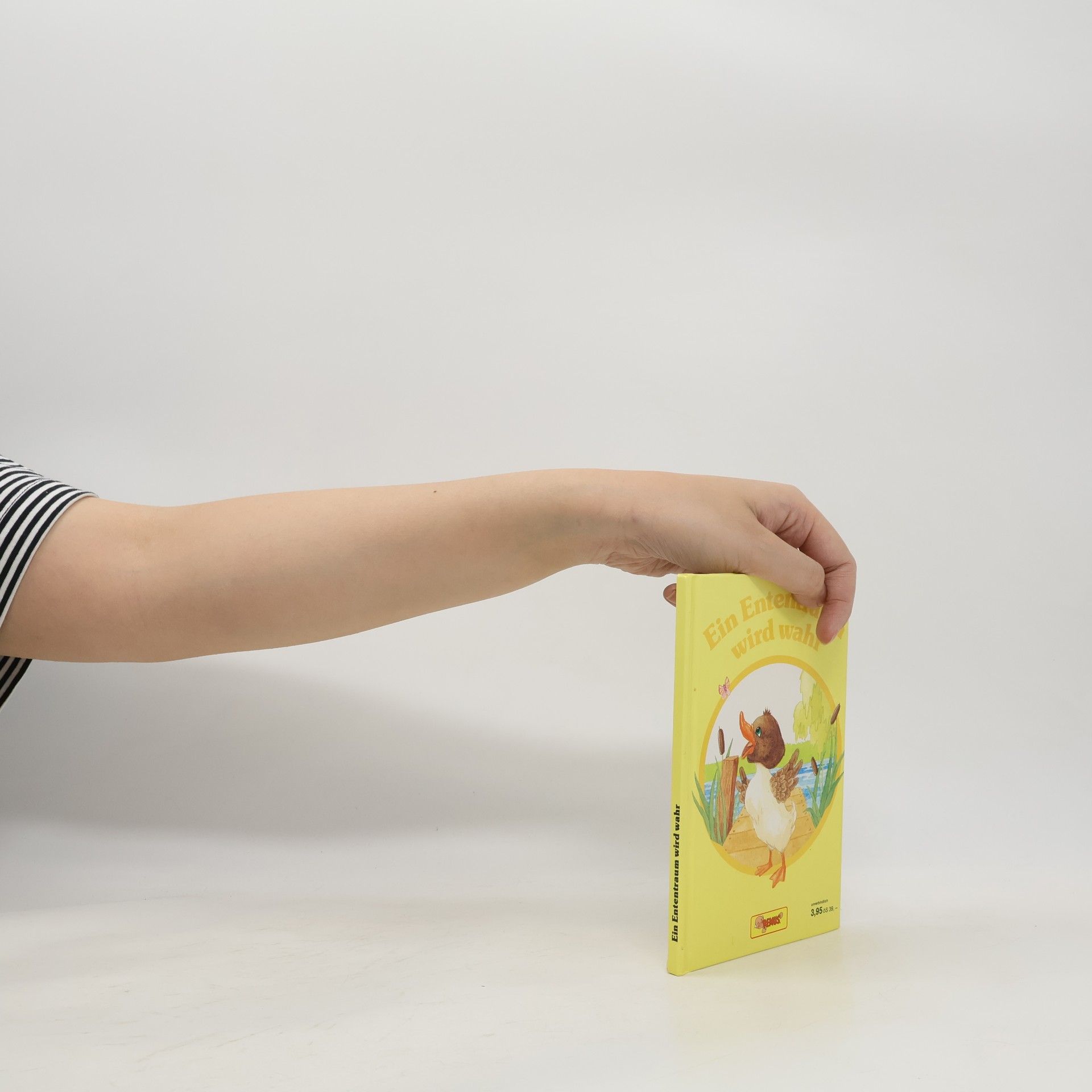 Autorenkollektiv Ein Ententraum wird wahr