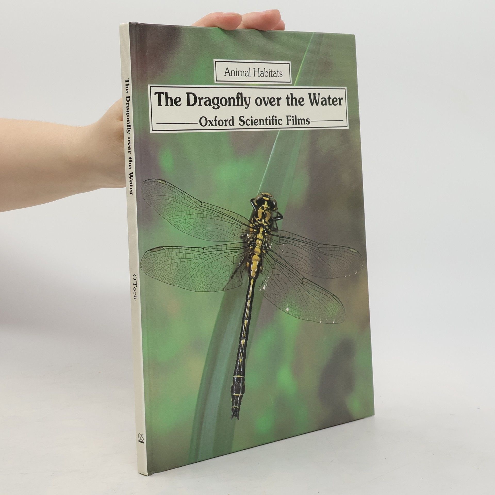 Christopher OToole The Dragonfly Over the Water