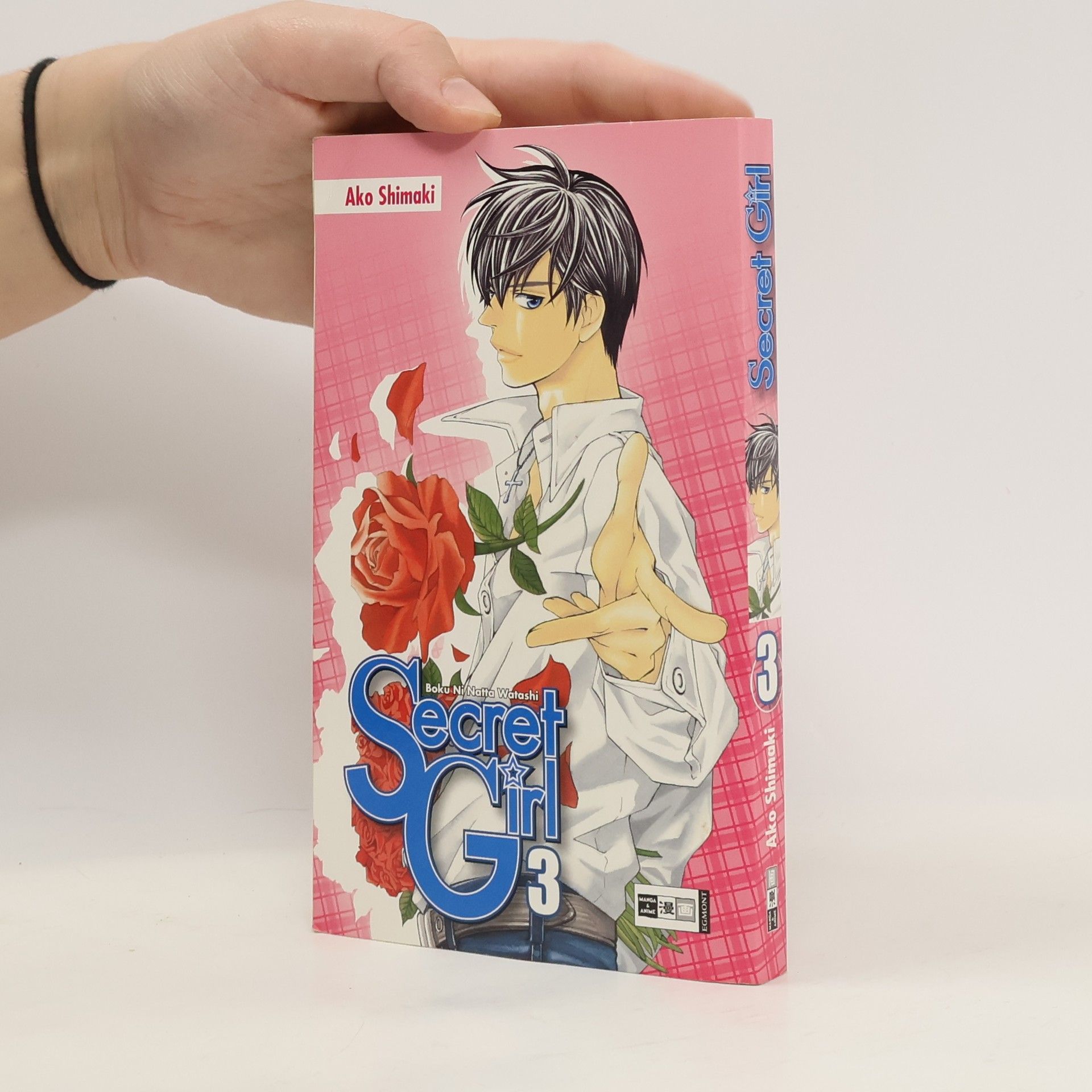 Collectif d'auteurs Secret Girl 3