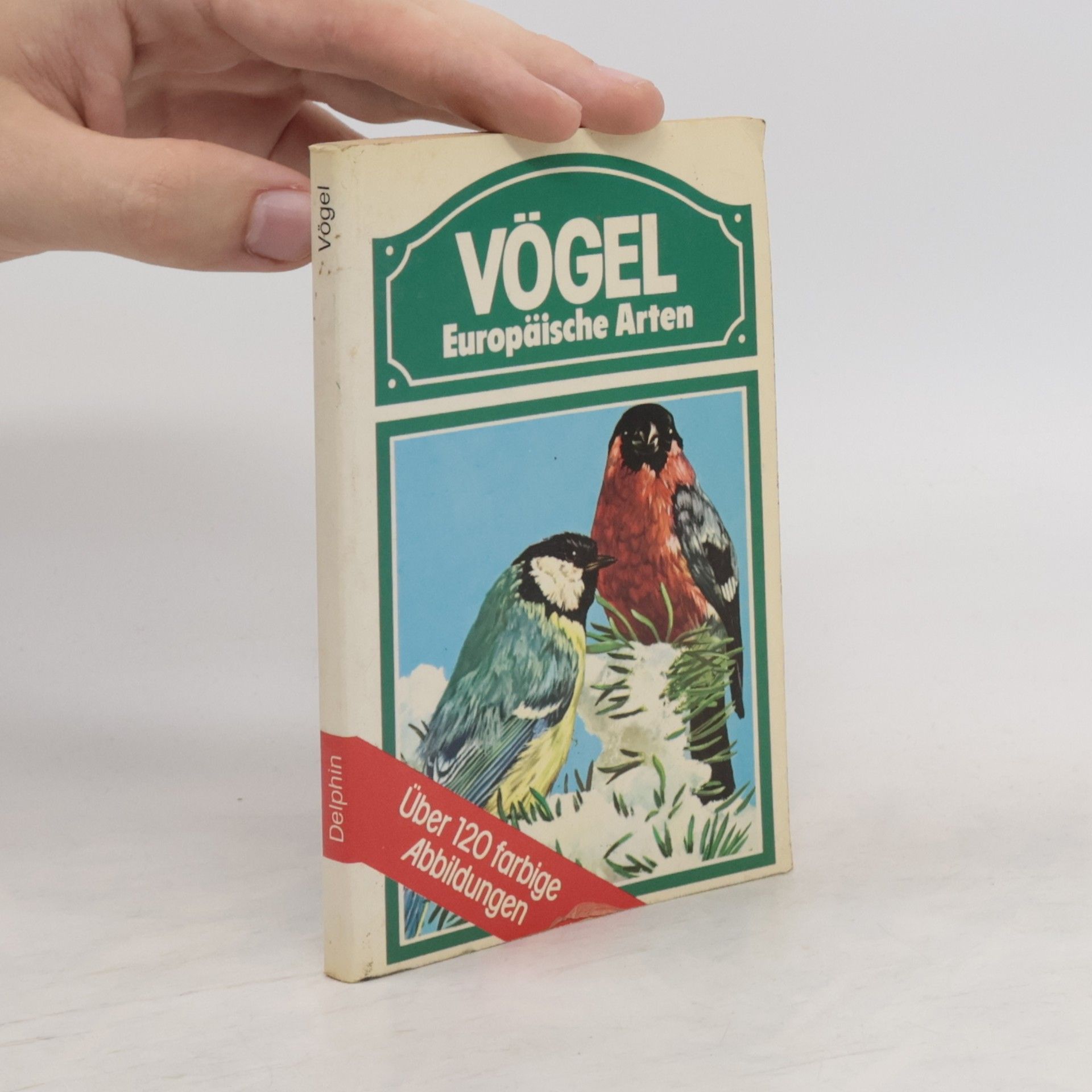 Yvonne Letouzey Vögel