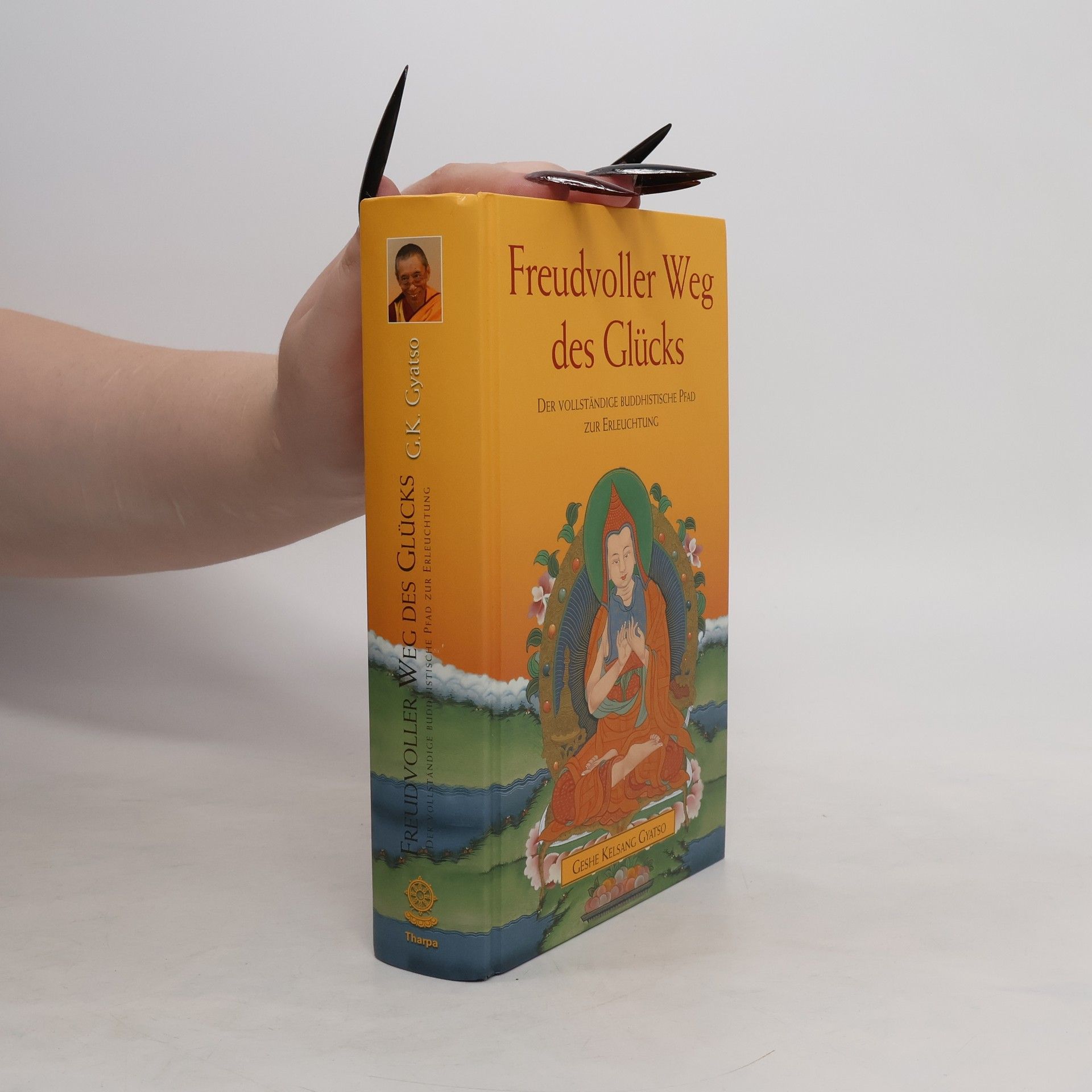 Freudvoller Weg des Glücks