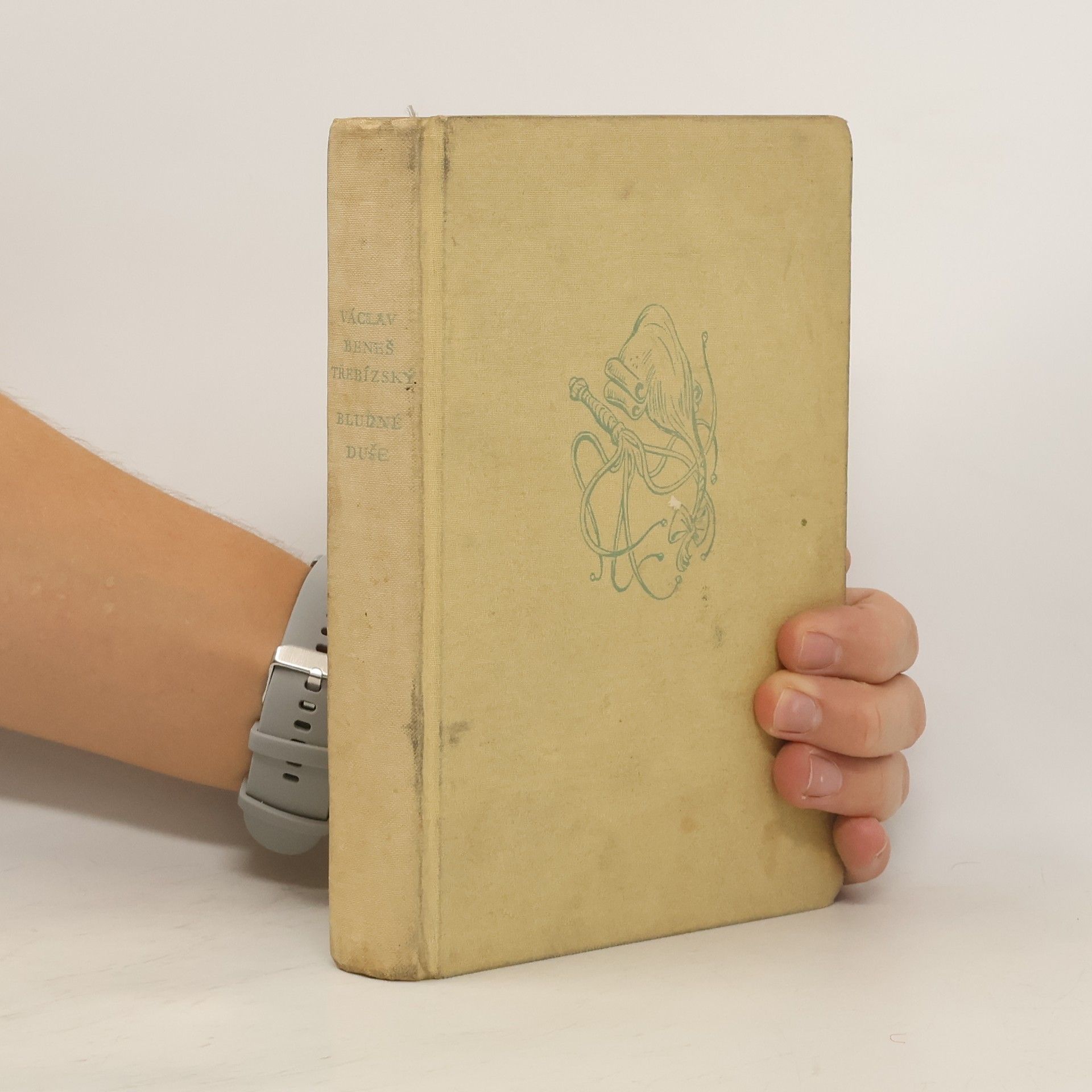 Václav Beneš Třebízský Bludné duše