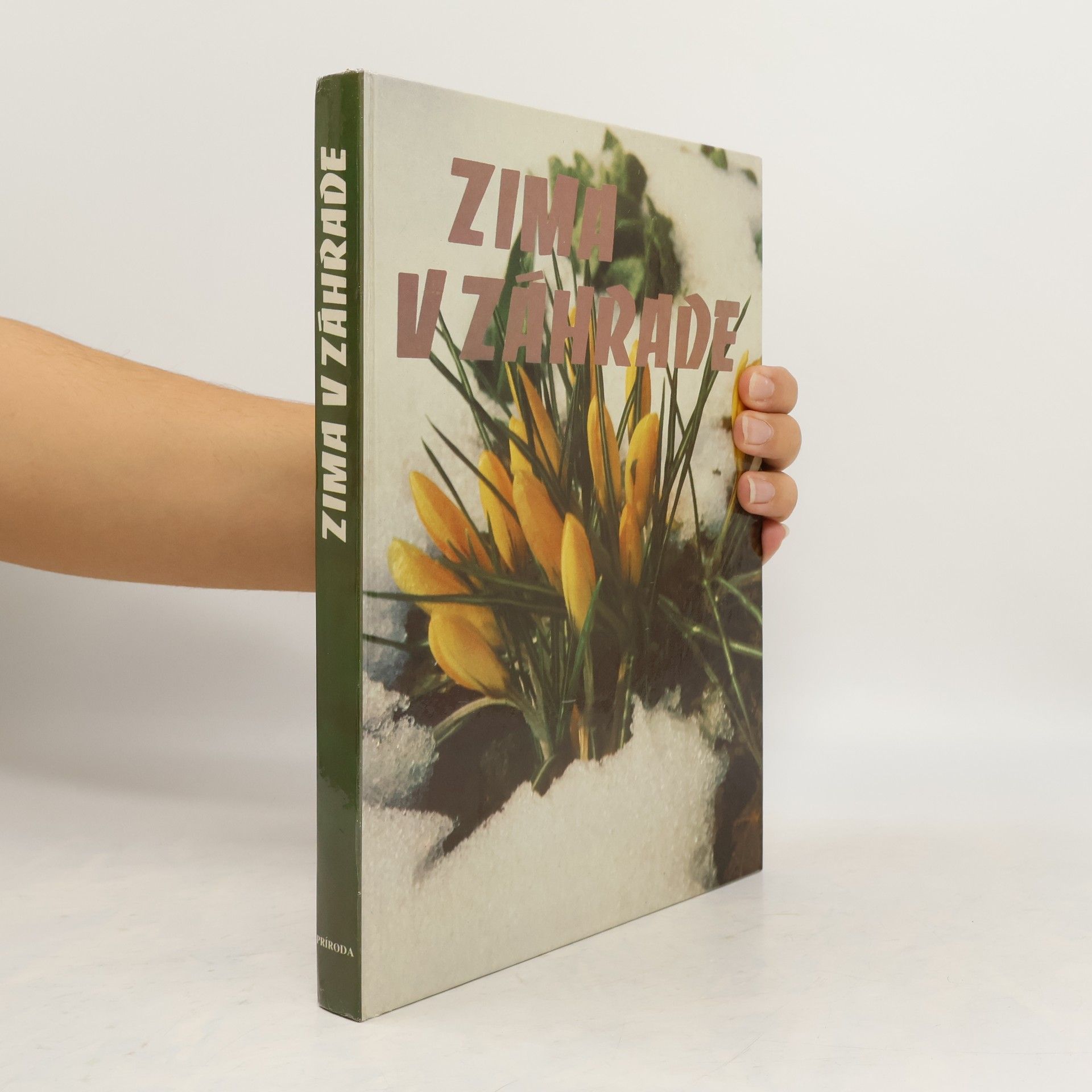 Katarína Šafáriková Zima v záhrade