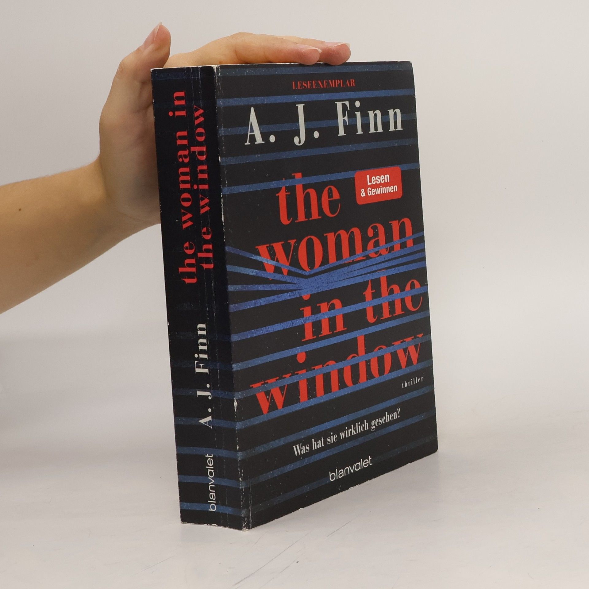 Daniel Mallory The Woman in the Window