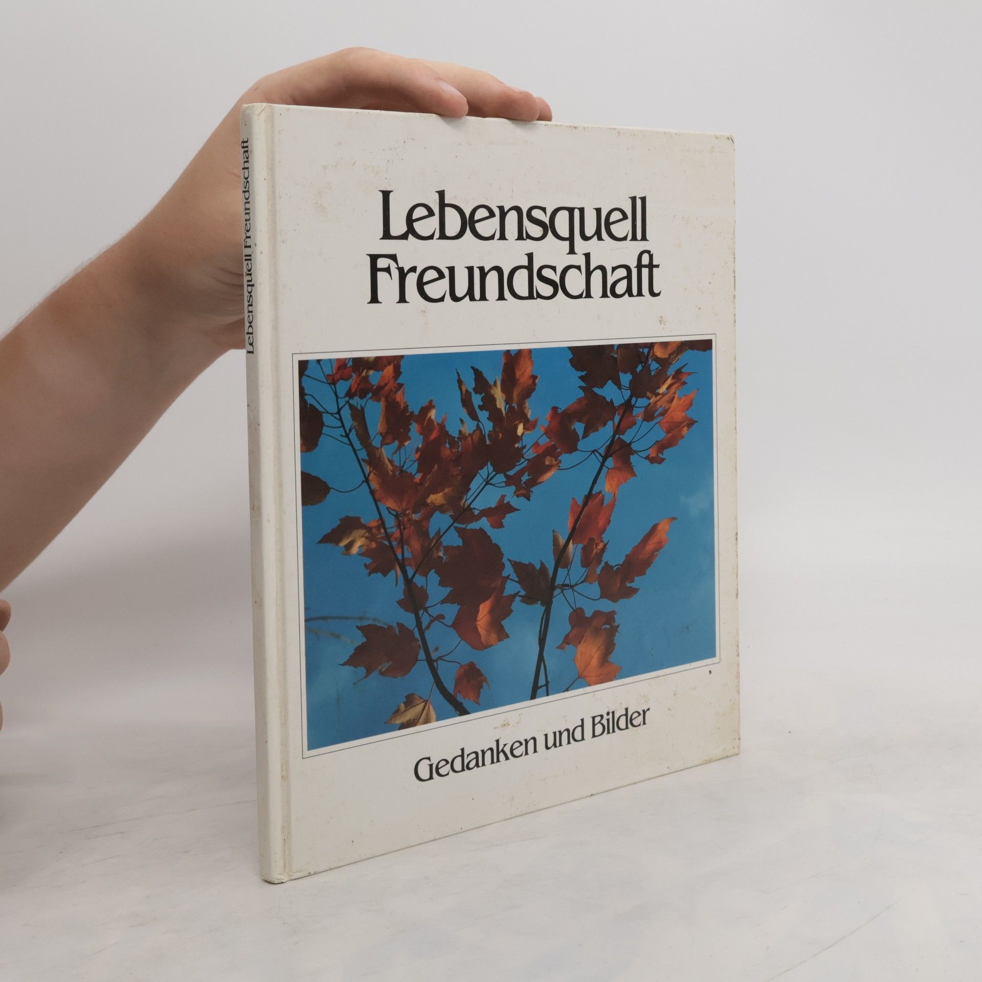 Collectif d'auteurs Lebensquell Freundschaft