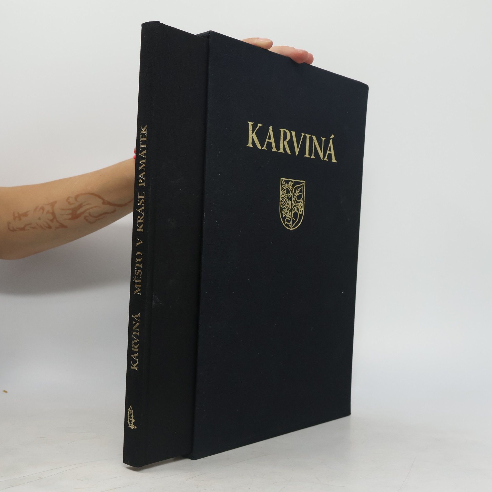 Edmund Kijonka Karviná. Město v kráse památek