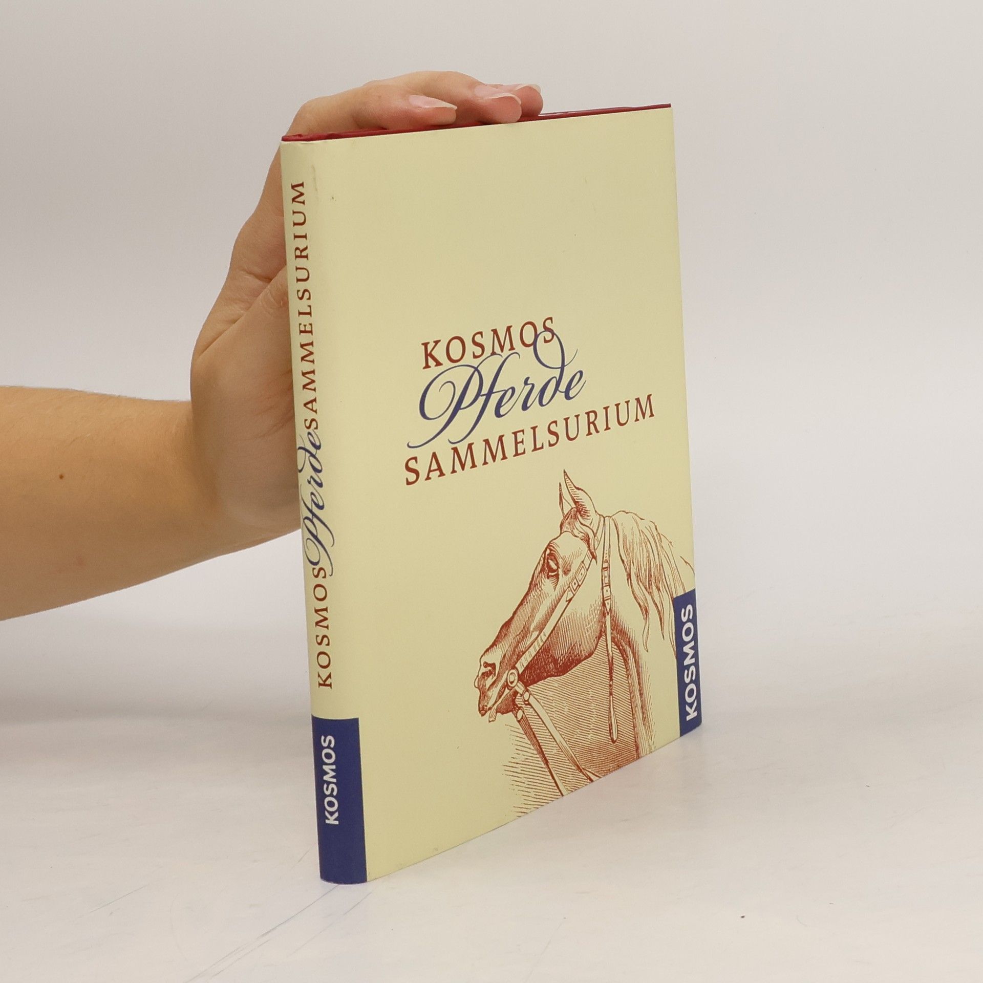 Kosmos-Pferde-Sammelsurium