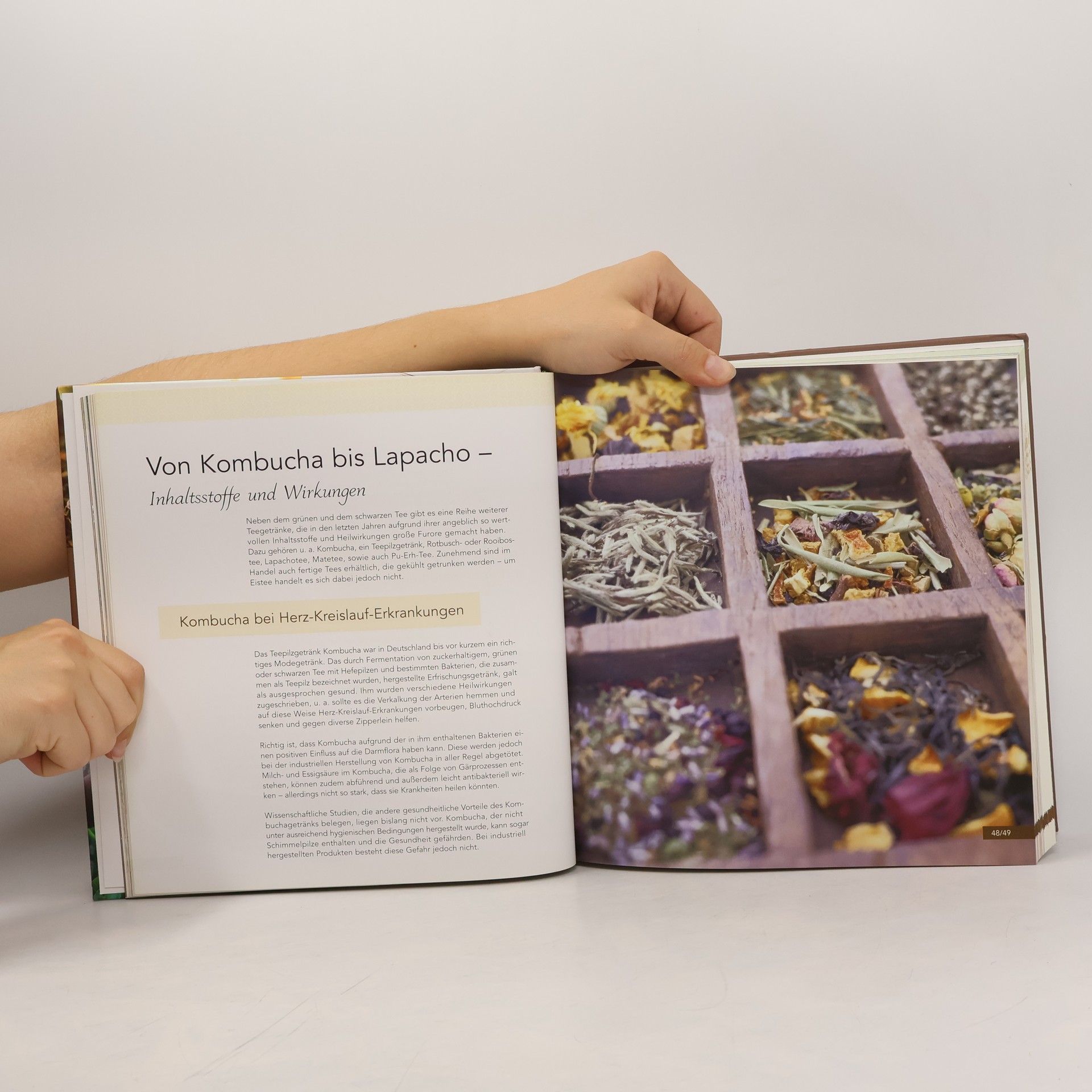 Autorenkollektiv Das Reader's Digest-Buch vom Tee