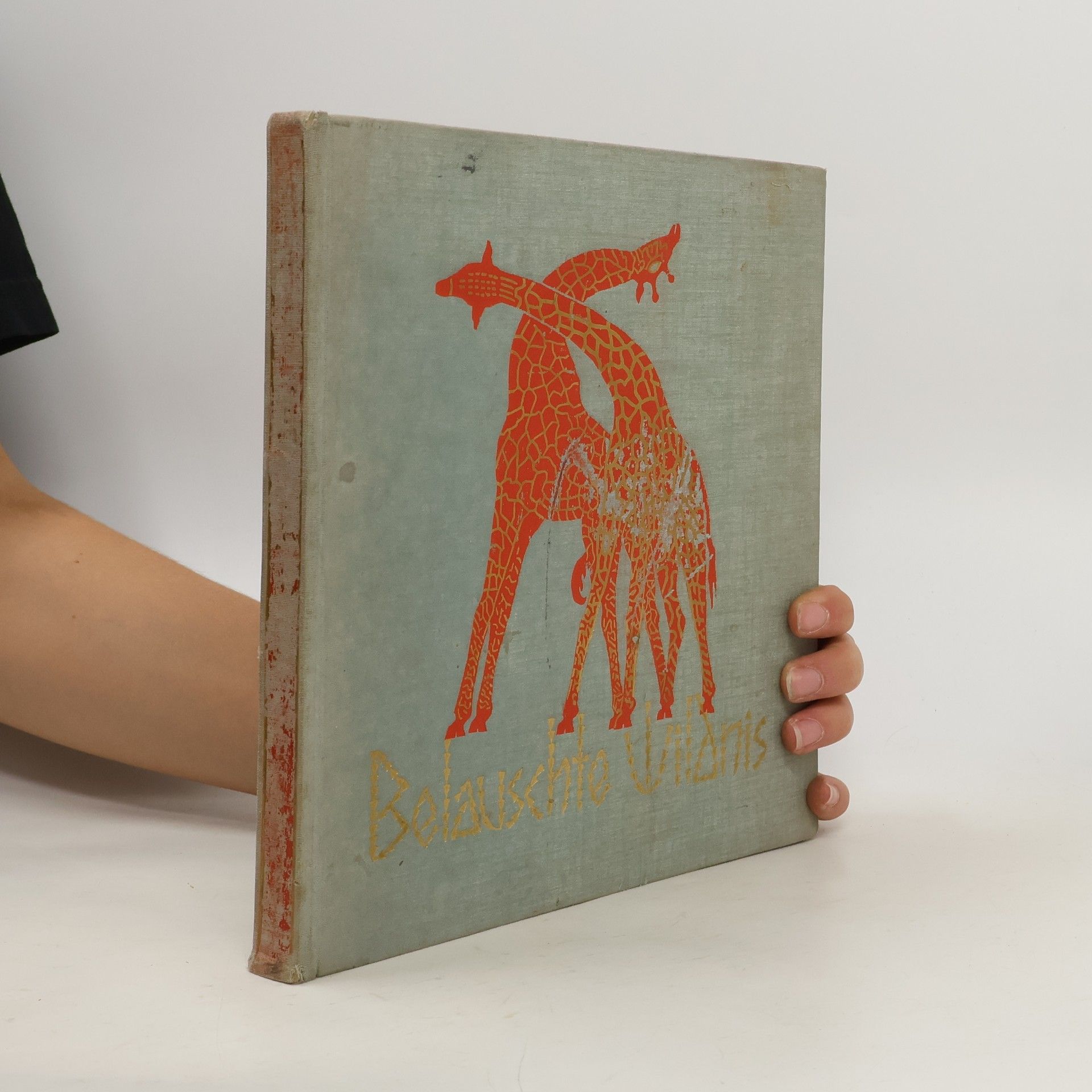 Franz Adam Roedelberger Belauschte Wildnis