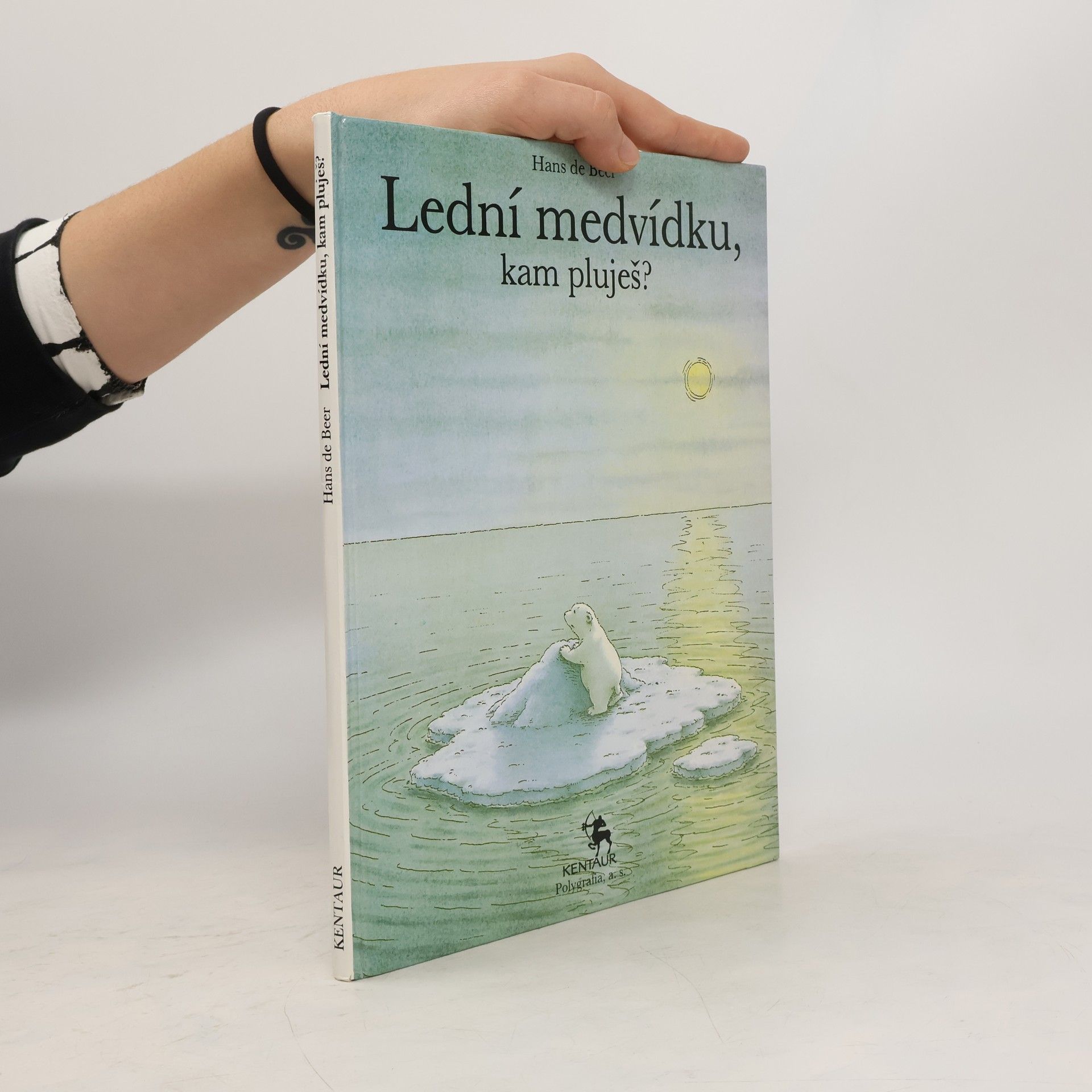 Hans De Beer Lední medvídku, kam pluješ?