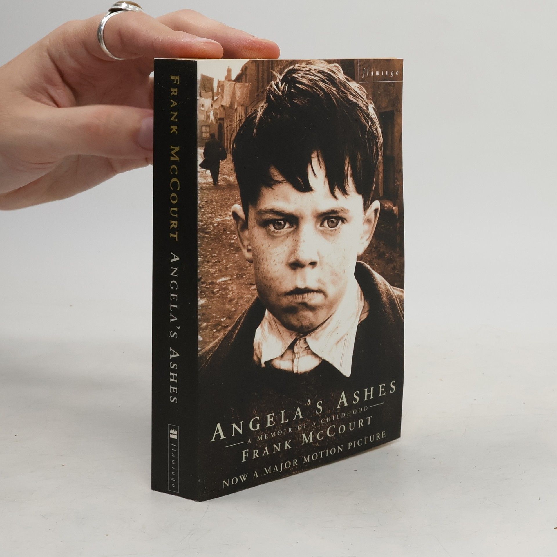 Frank McCourt Angela's Ashes