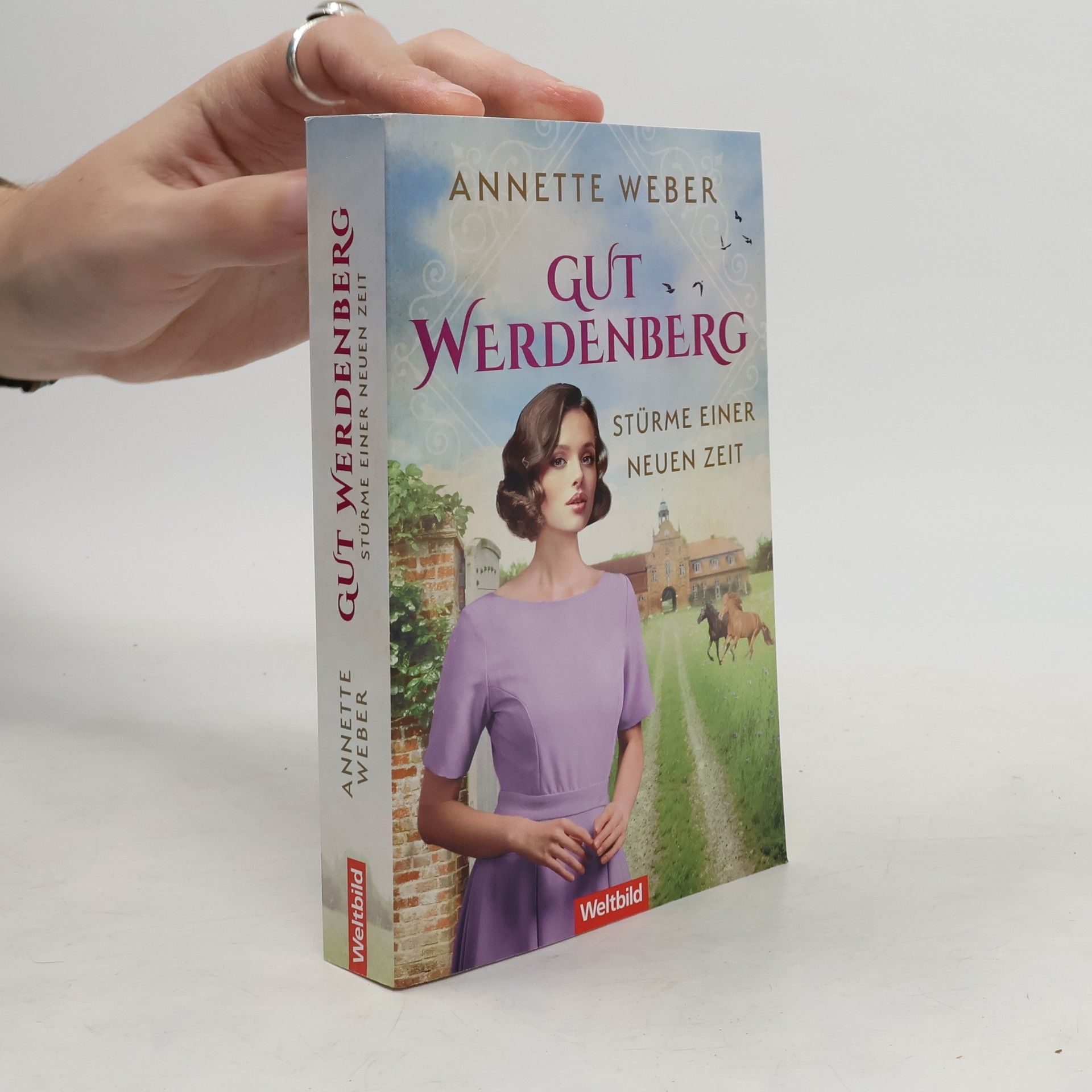 Annette Weber Gut Werdenberg. Stürme einer neuen Zeit