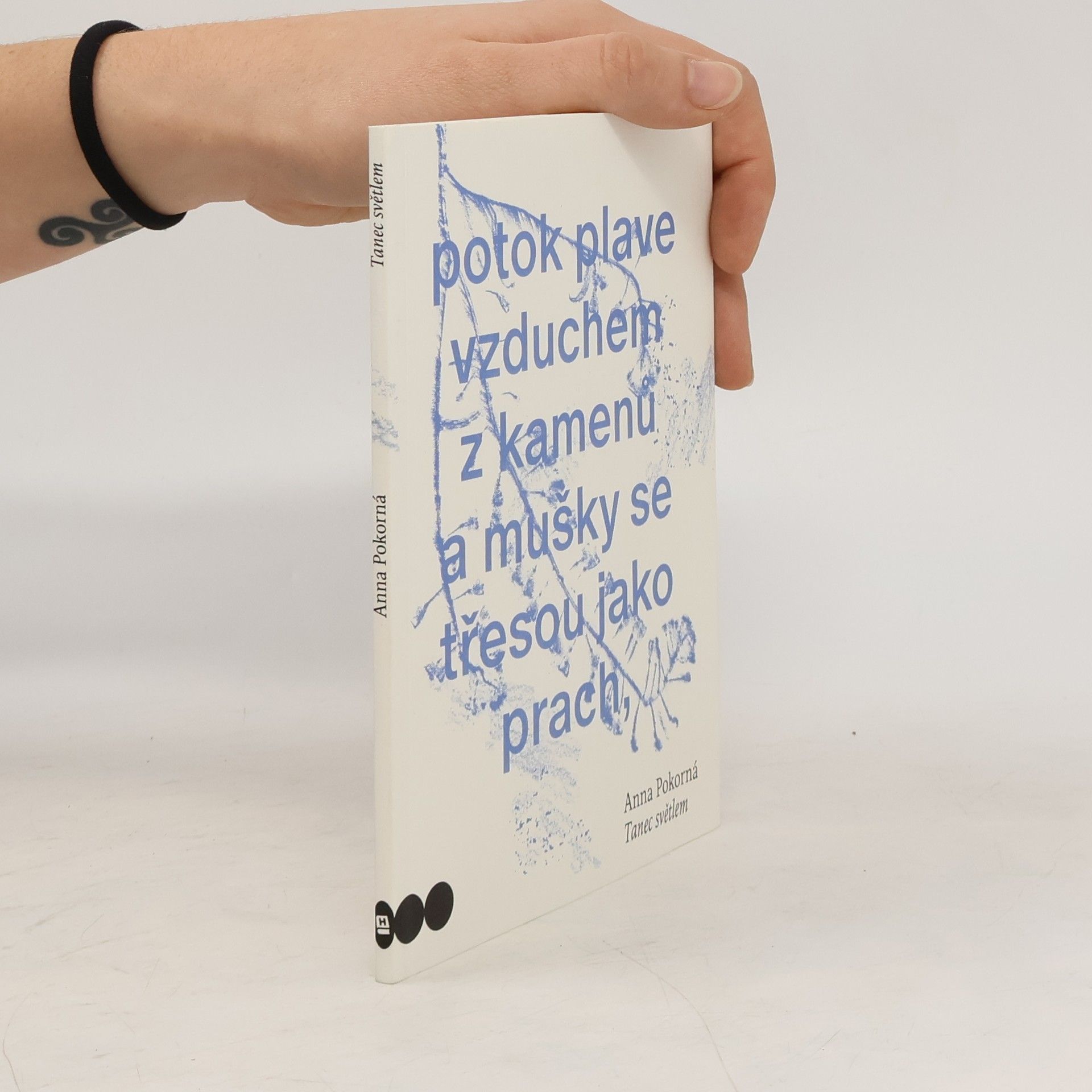 Anna Pokorná Tanec světlem