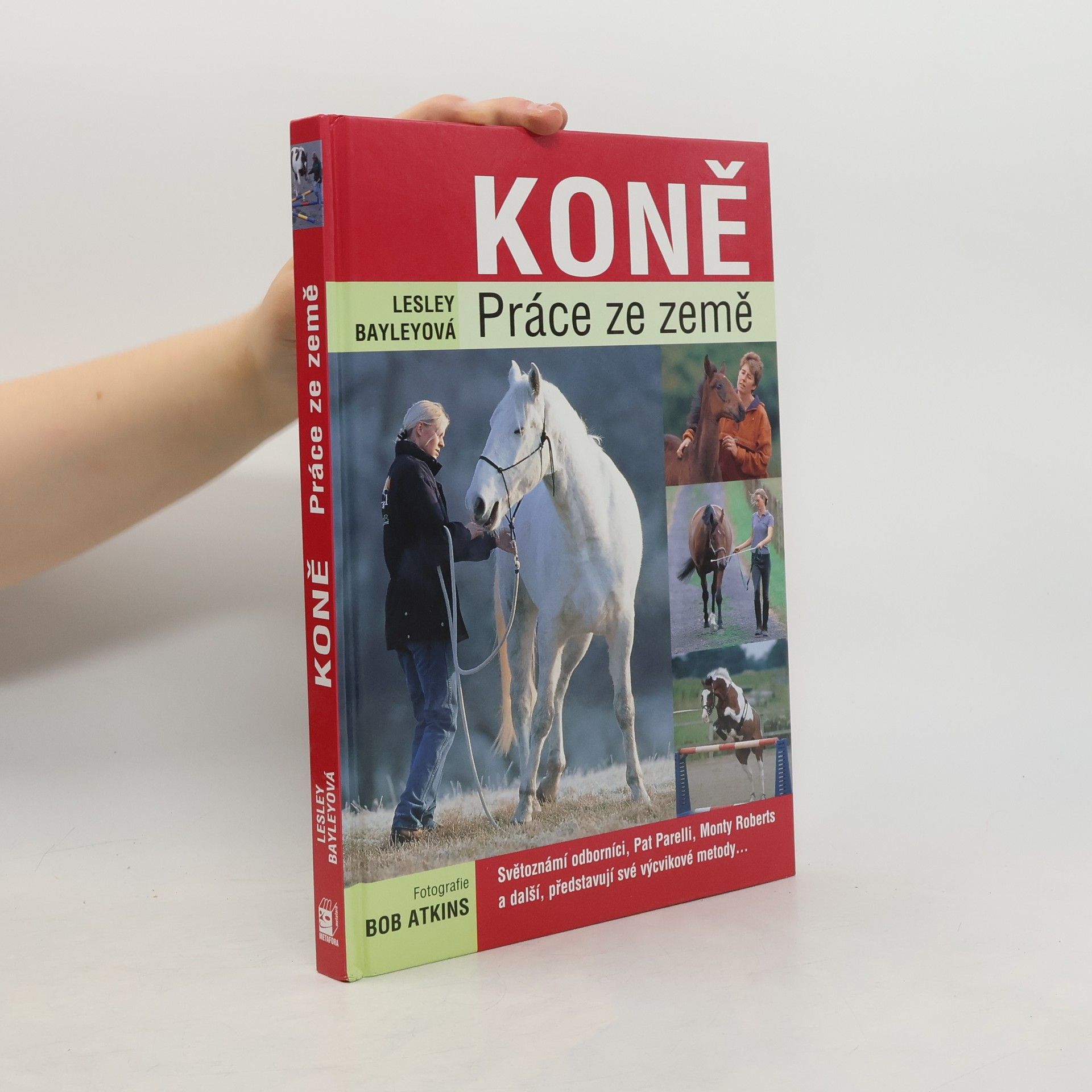 Lesley Bayley Koně. Práce ze země