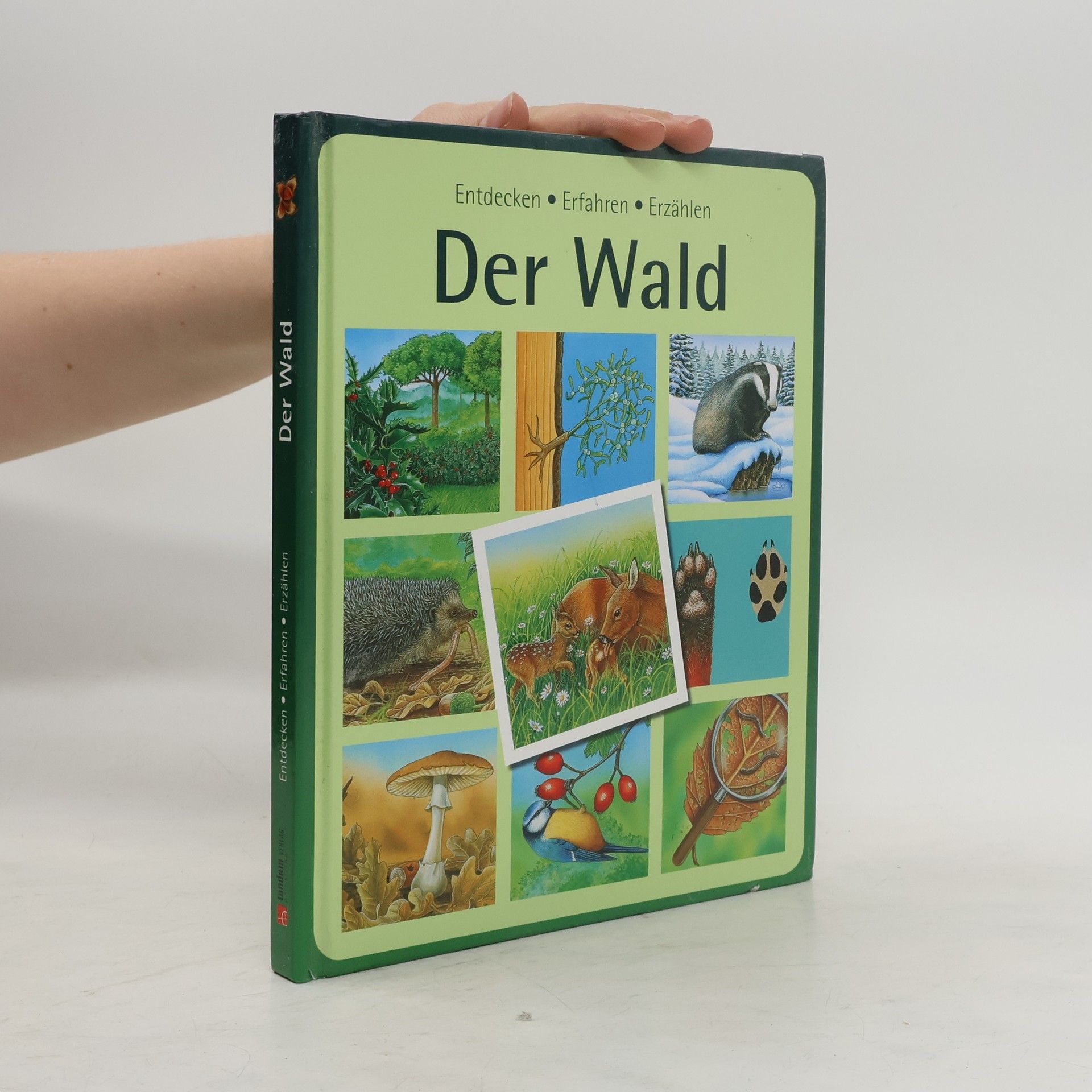 Autorenkollektiv Der Wald