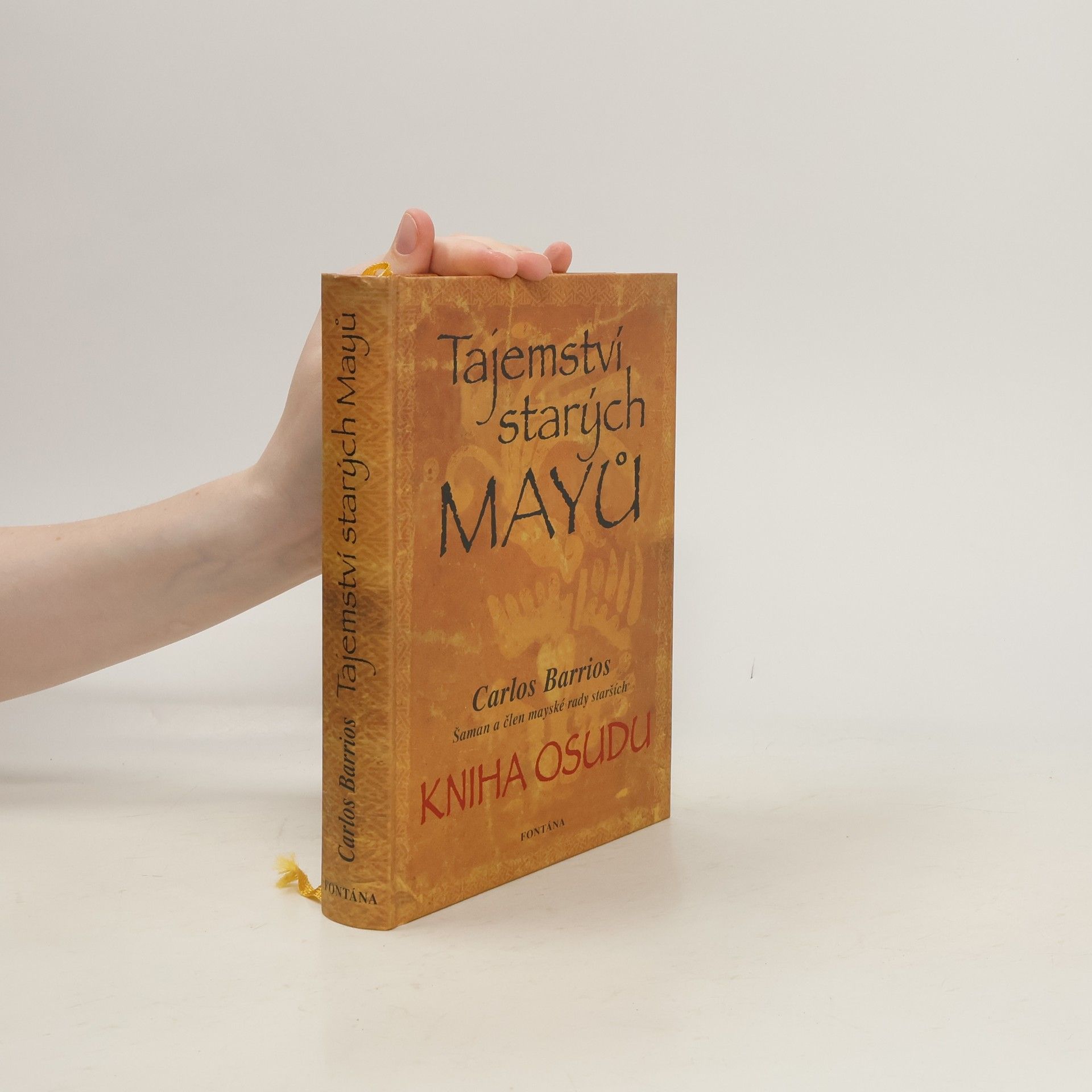 Carlos Barrios Tajemství starých Mayů