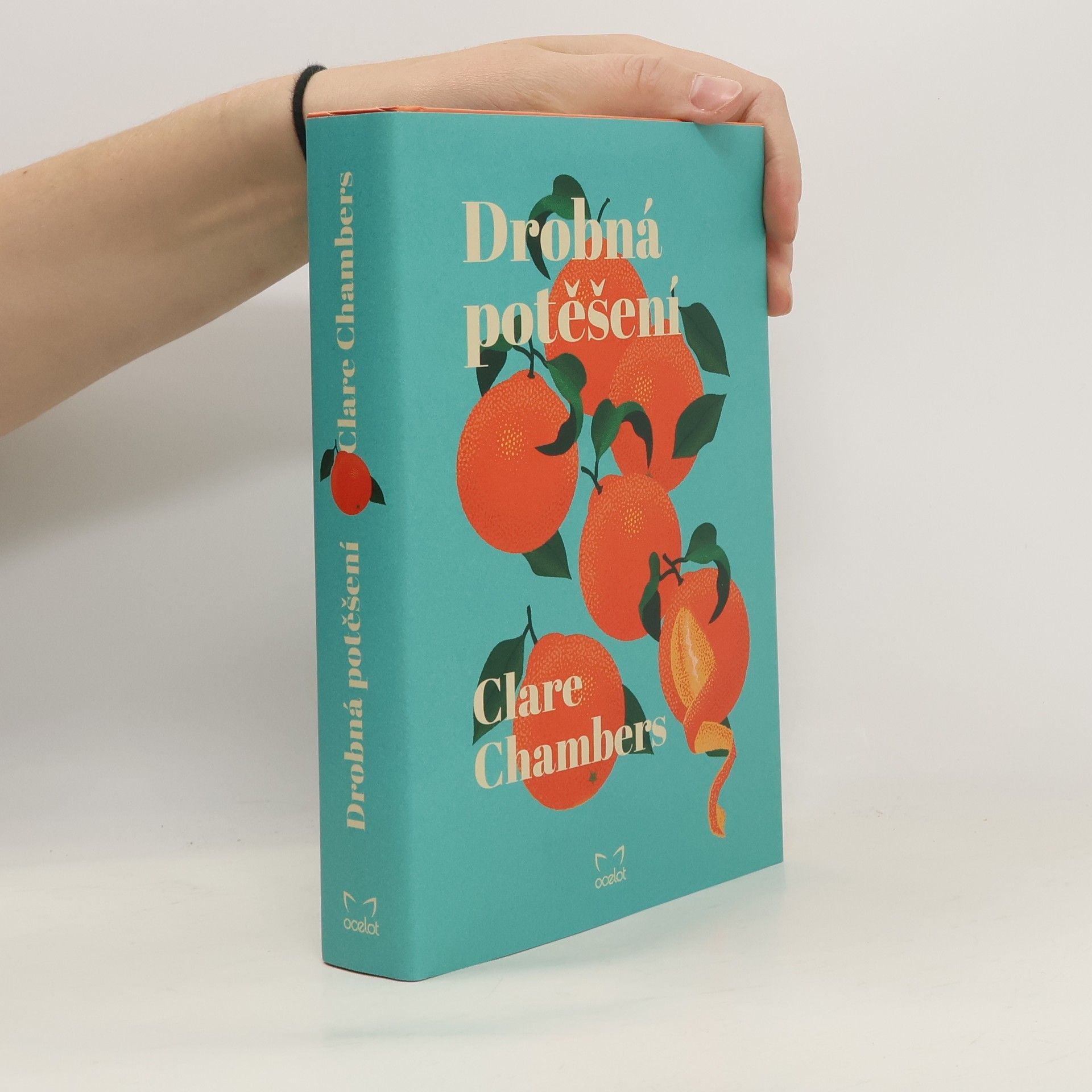 Clare Chambers Drobná potěšení
