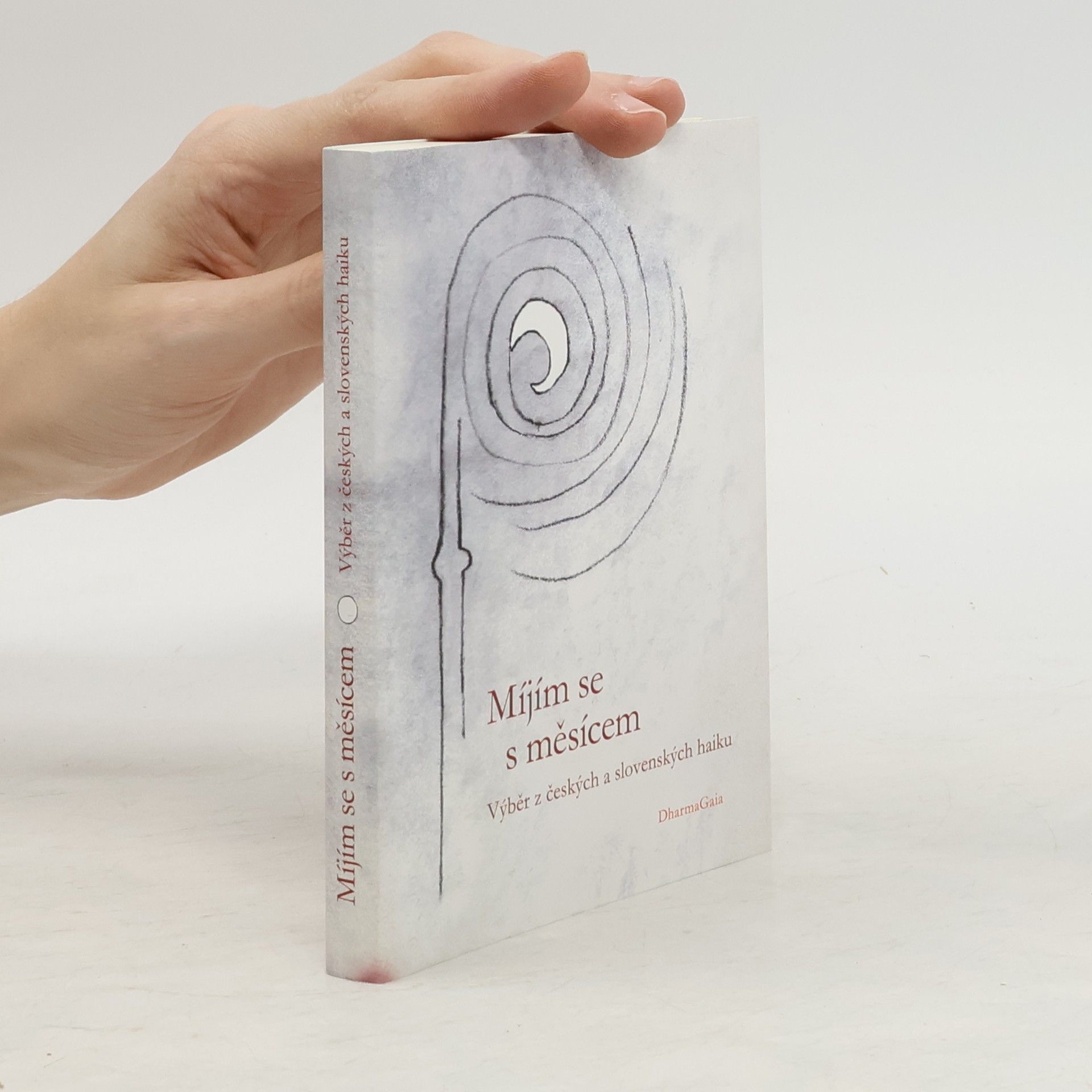 Kolektiv autorů Míjím se s měsícem