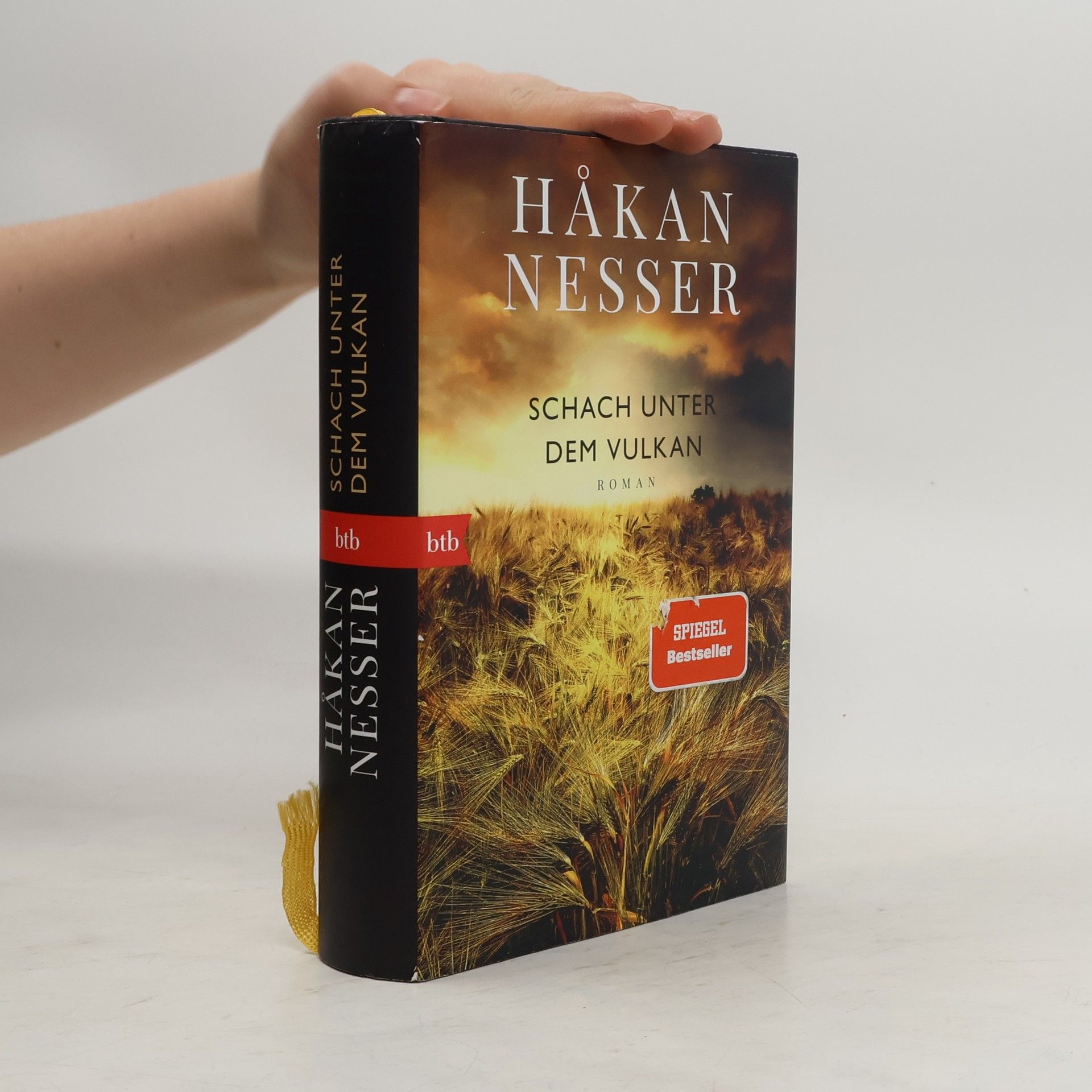 Hakan Nesser Schach unter dem Vulkan
