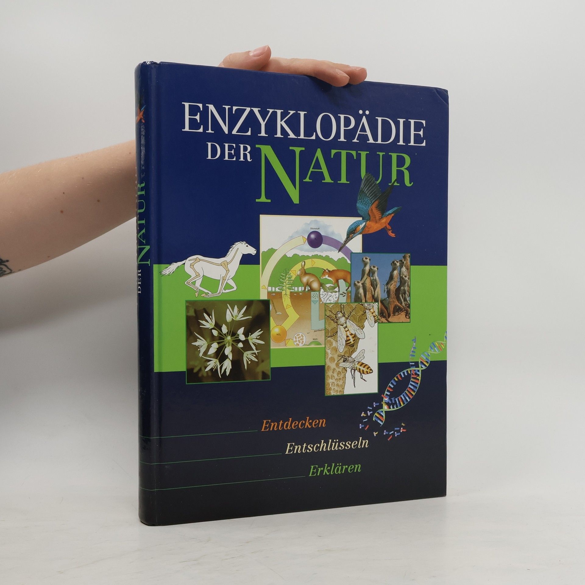 Autorenkollektiv Enzyklopädie der Natur