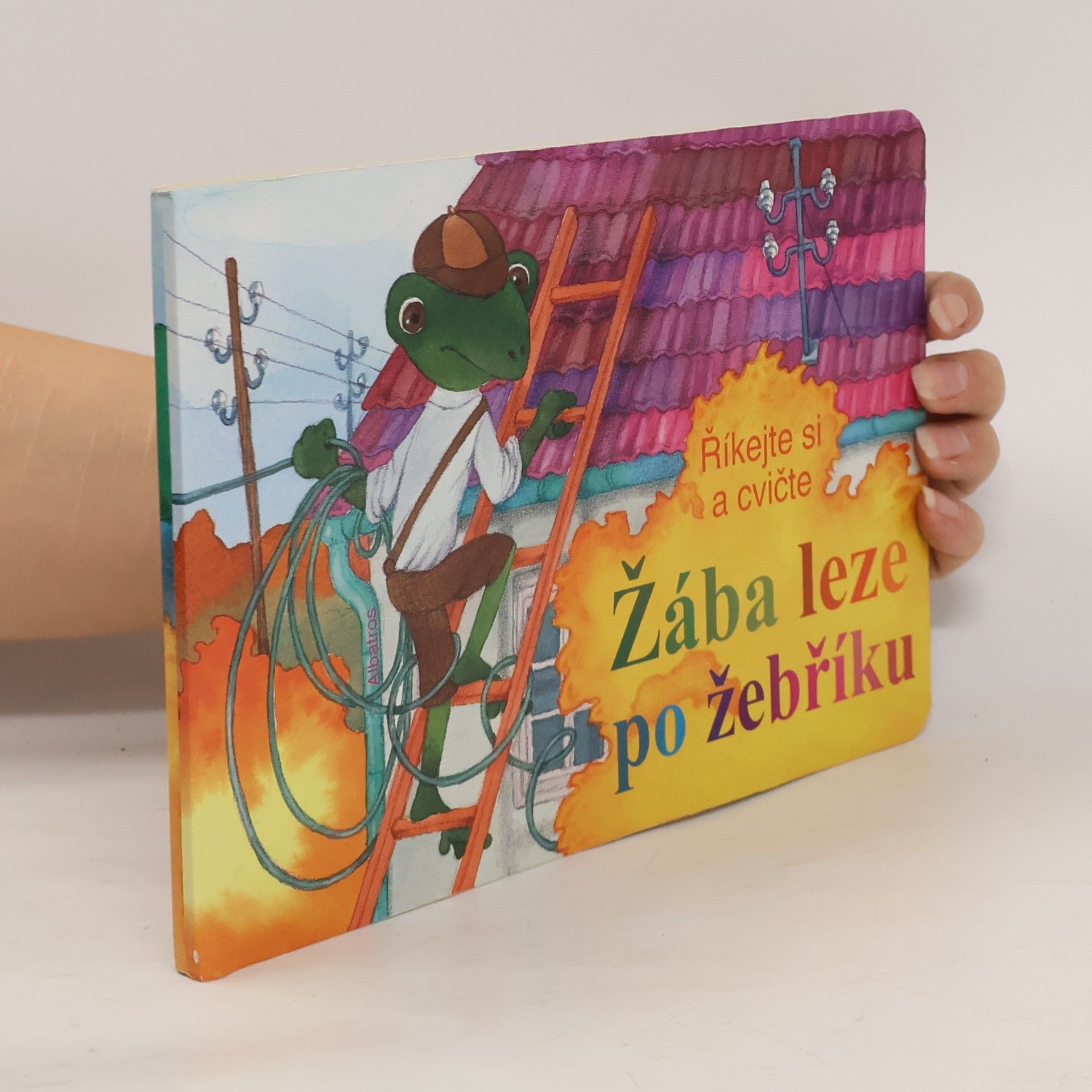 Collectif d'auteurs Žába leze po žebříku