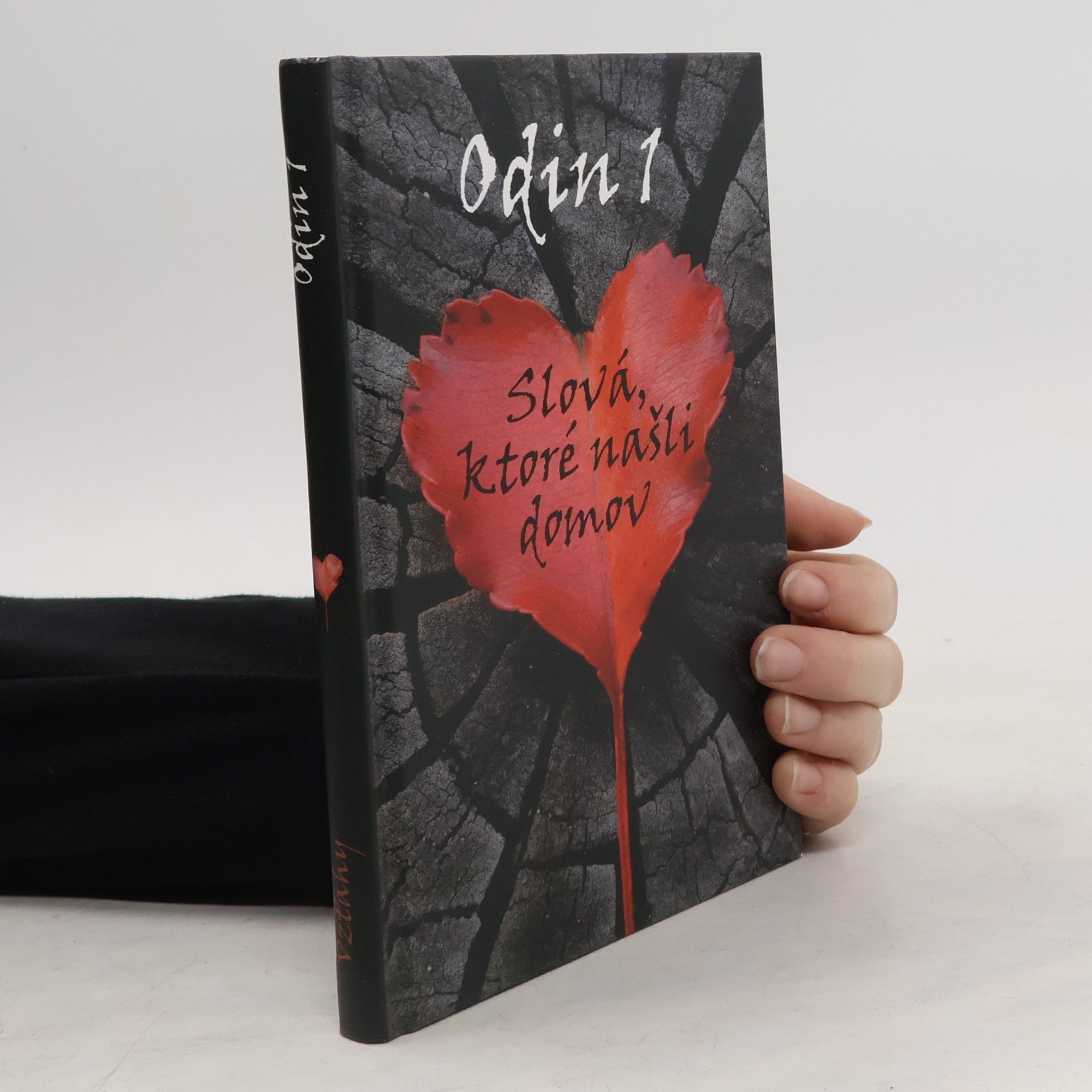 Kolektív autorov Slová, ktoré našli domov