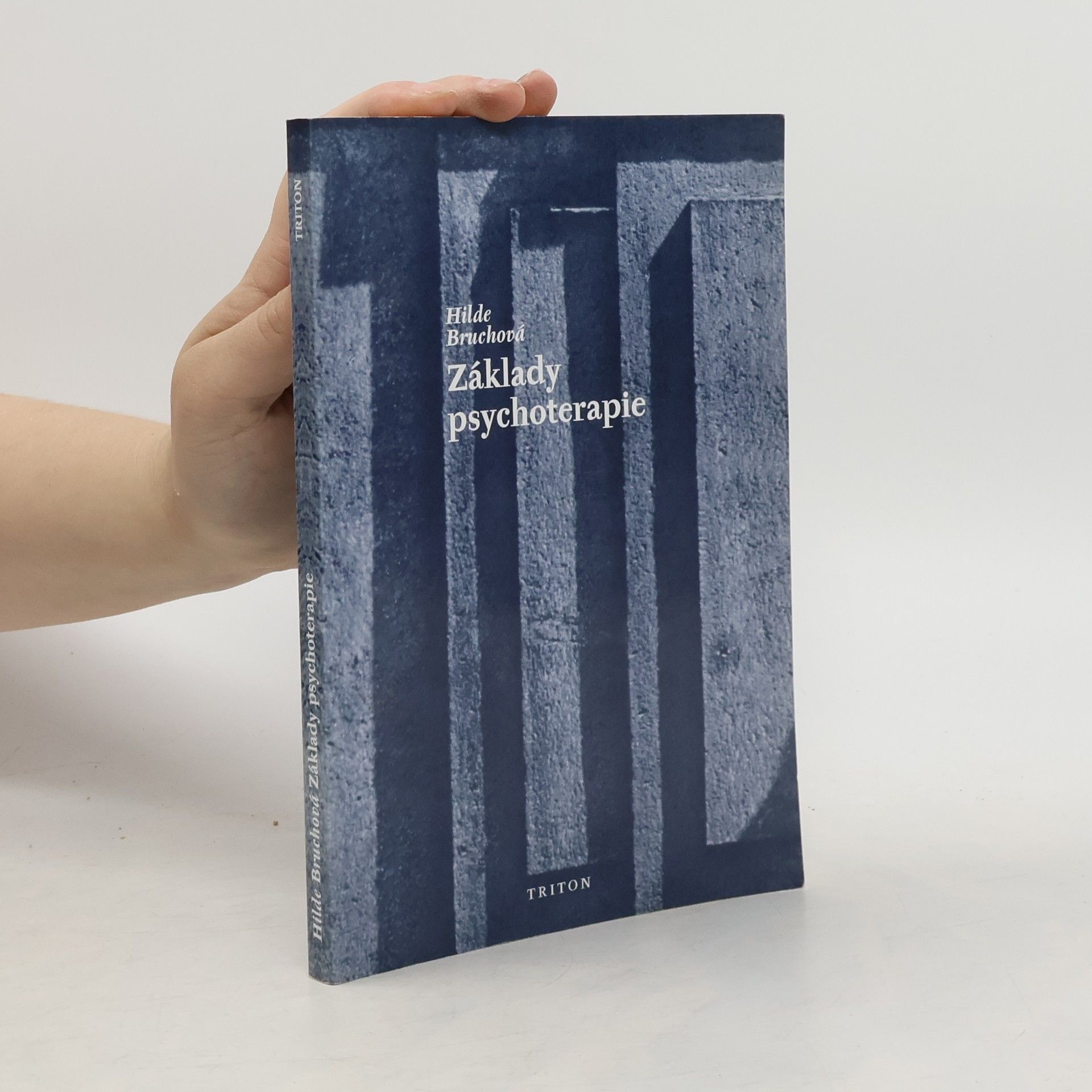 Hilde Bruch Základy psychoterapie