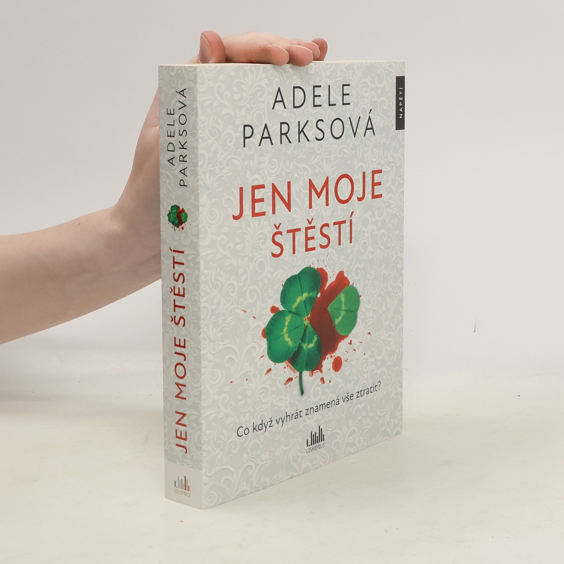 Adele Parks Jen moje štěstí