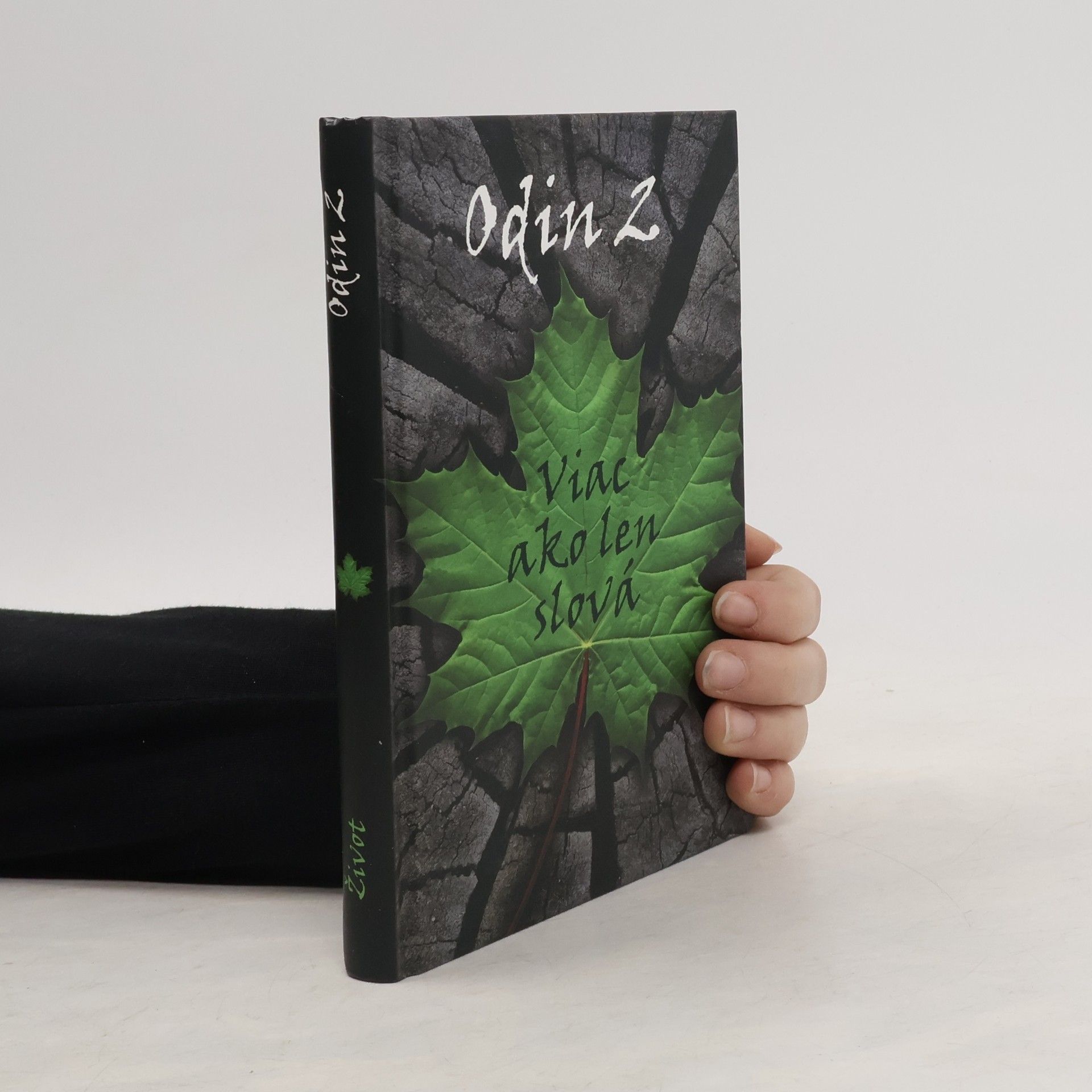 * antologie Viac ako len slová