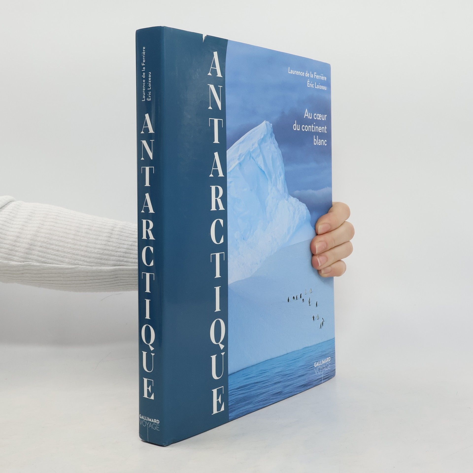 Laurence de La Ferrière Antarctique