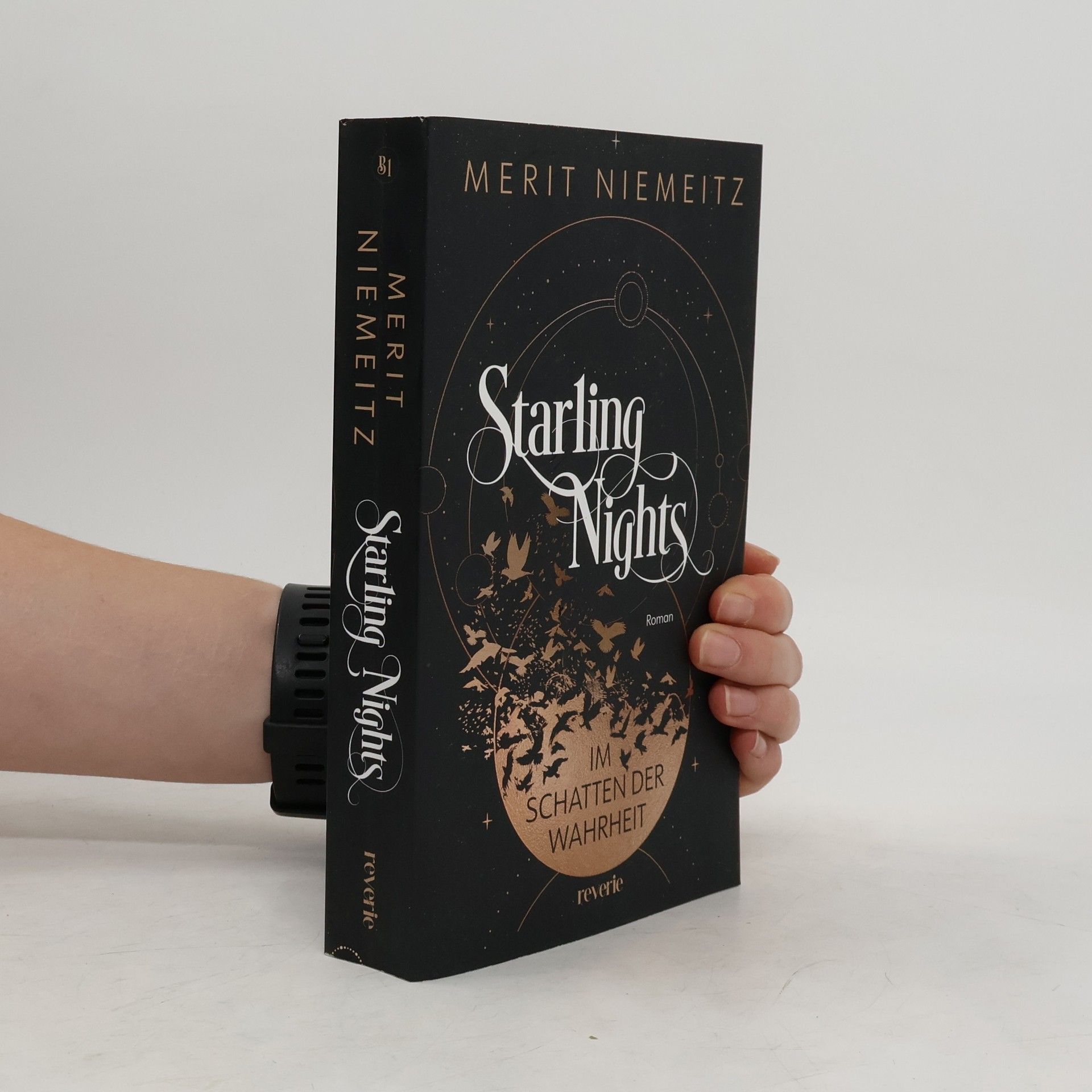 Merit Niemeitz Starling Nights 1