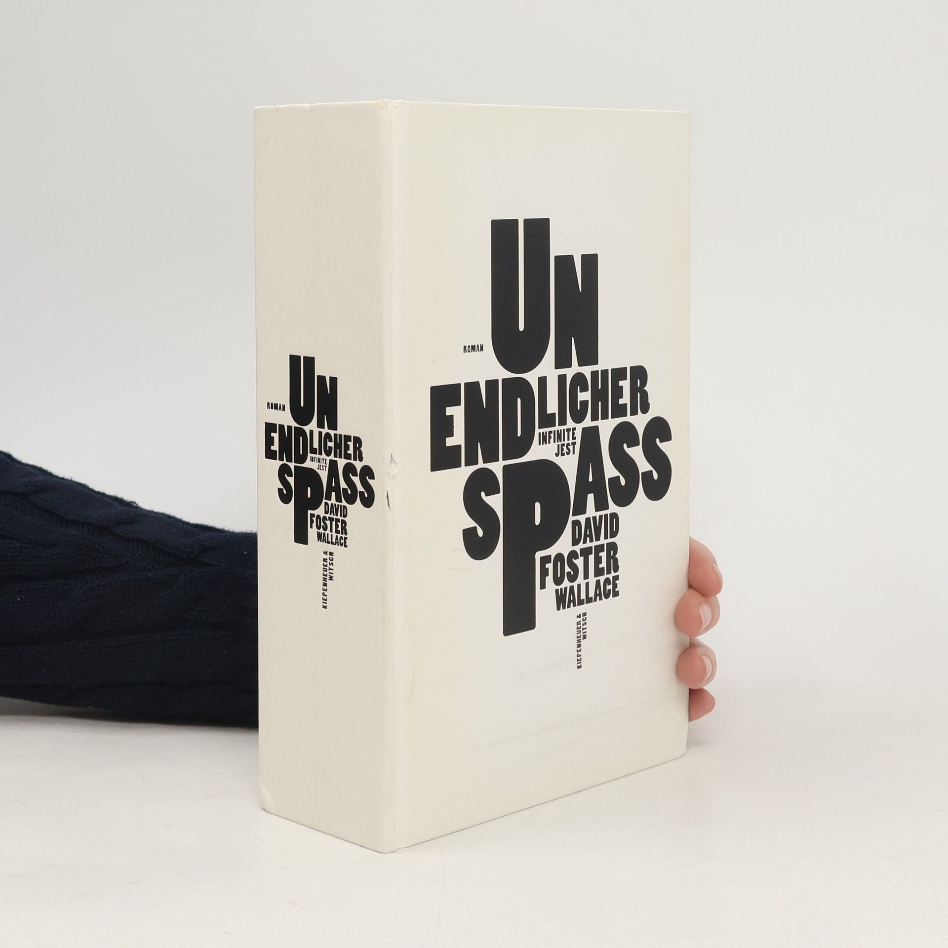 David Foster Wallace Unendlicher Spaß