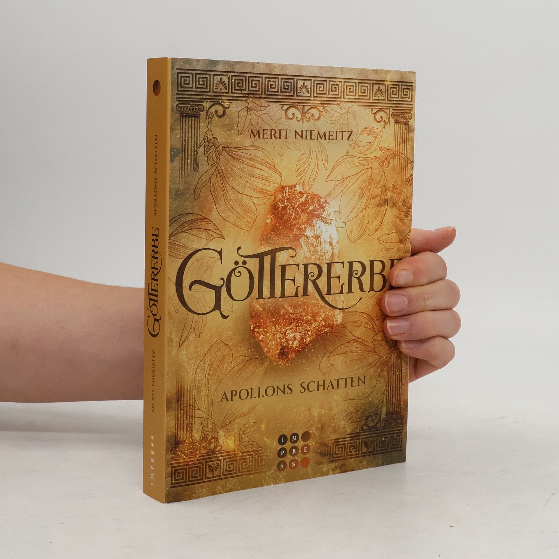 Merit Niemeitz Göttererbe 1: Apollons Schatten