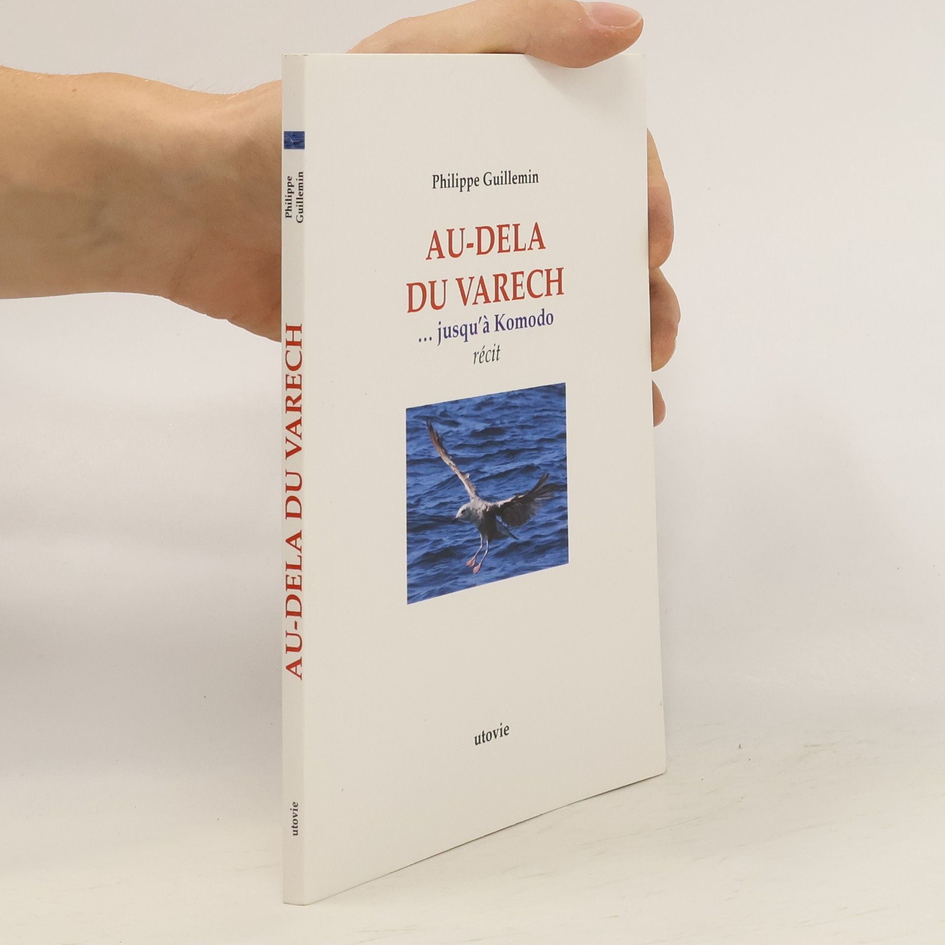 Philippe Guillemin Au-delà du varech