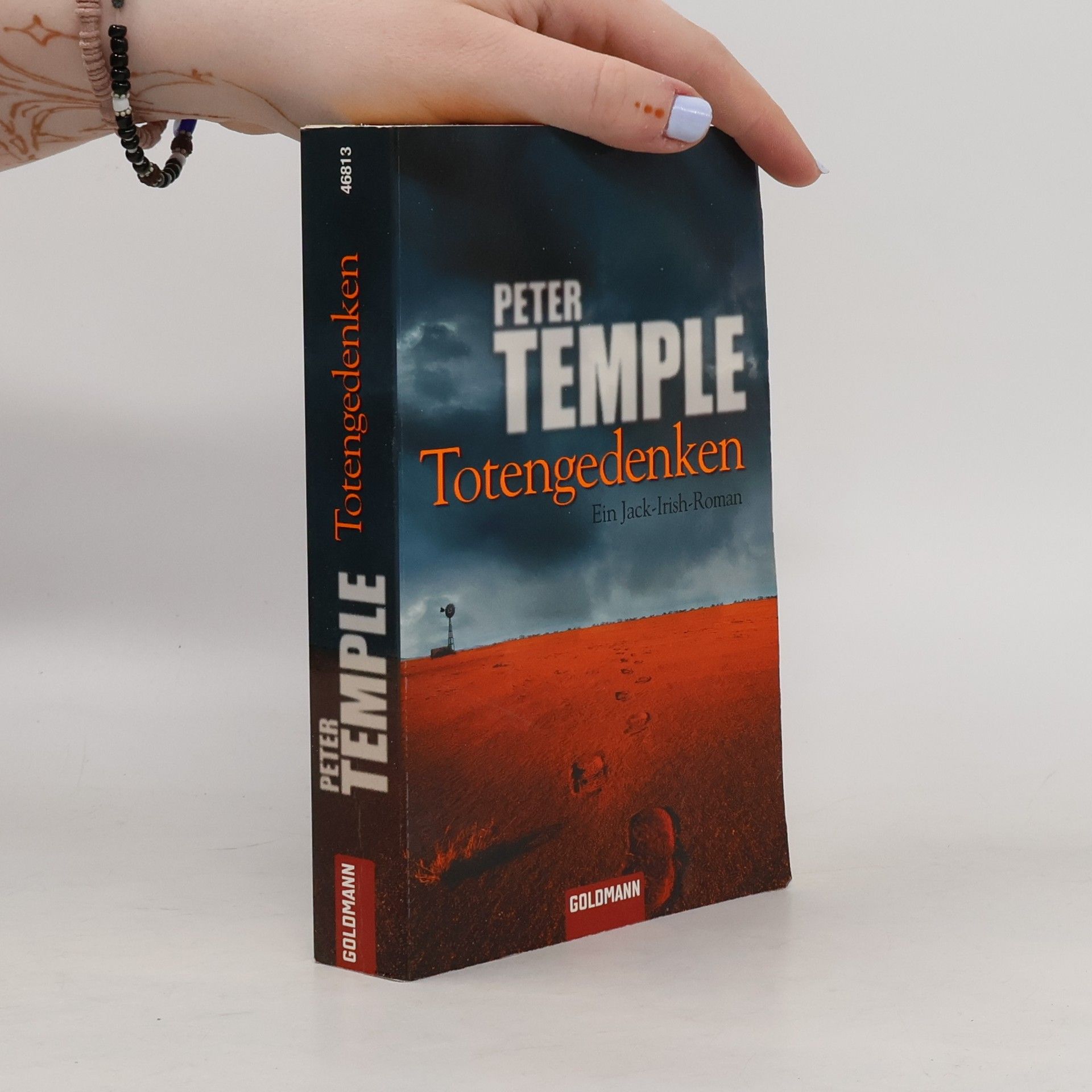 Totengedenken. Ein Jack-Irish-Roman