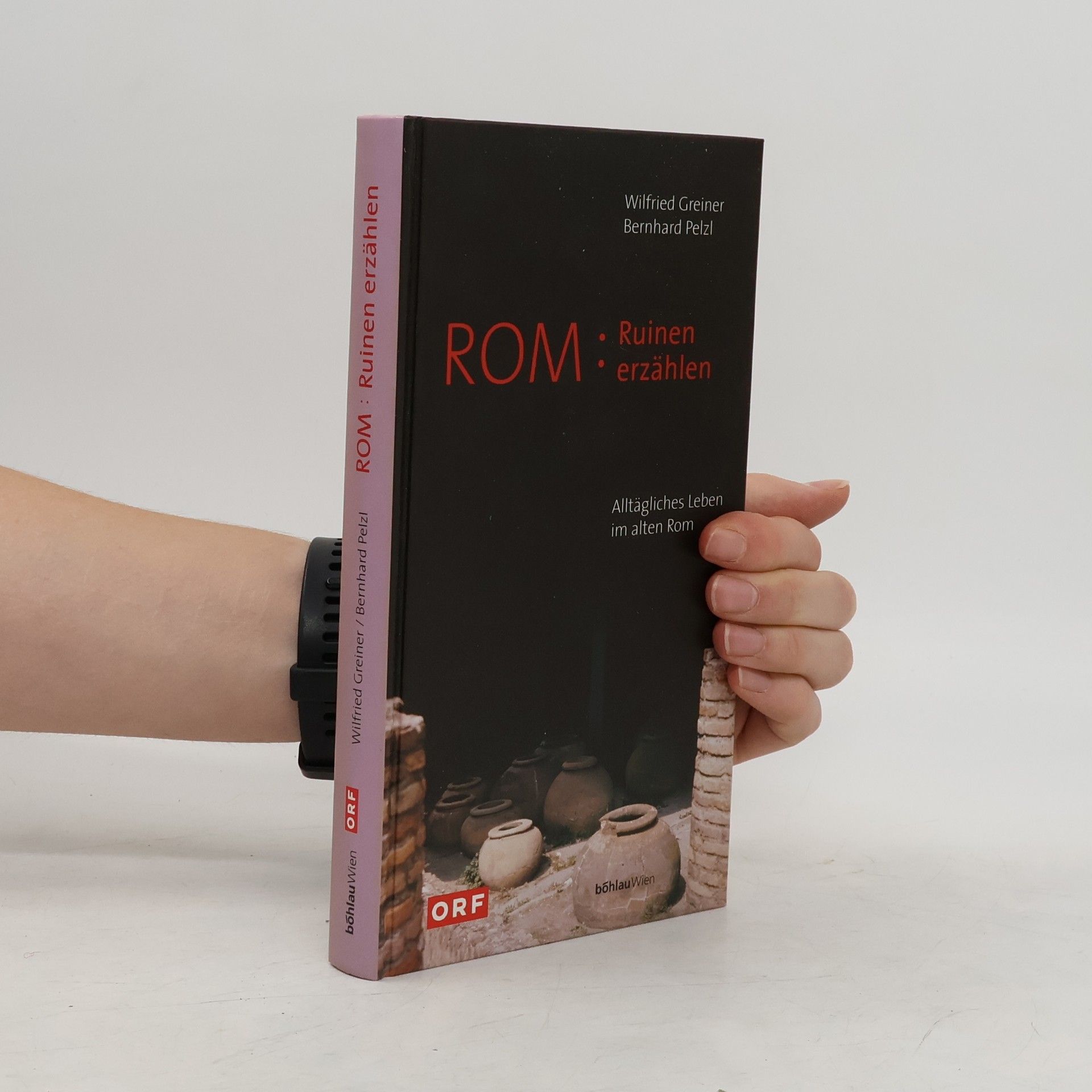 Wilfried Greiner Ruinen erzählen